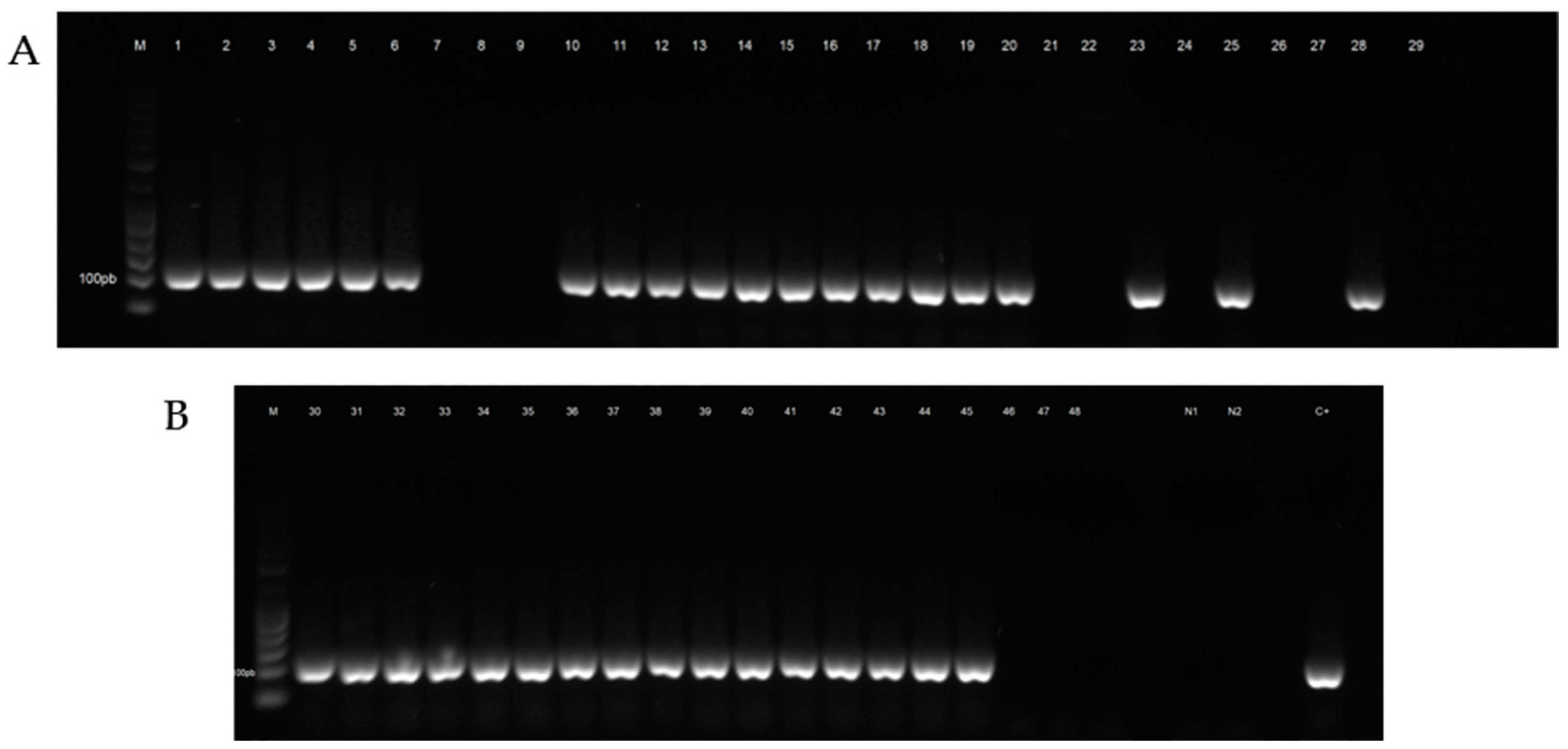 Agriculture 14 00583 g002 Agriculture 14 00583 g002