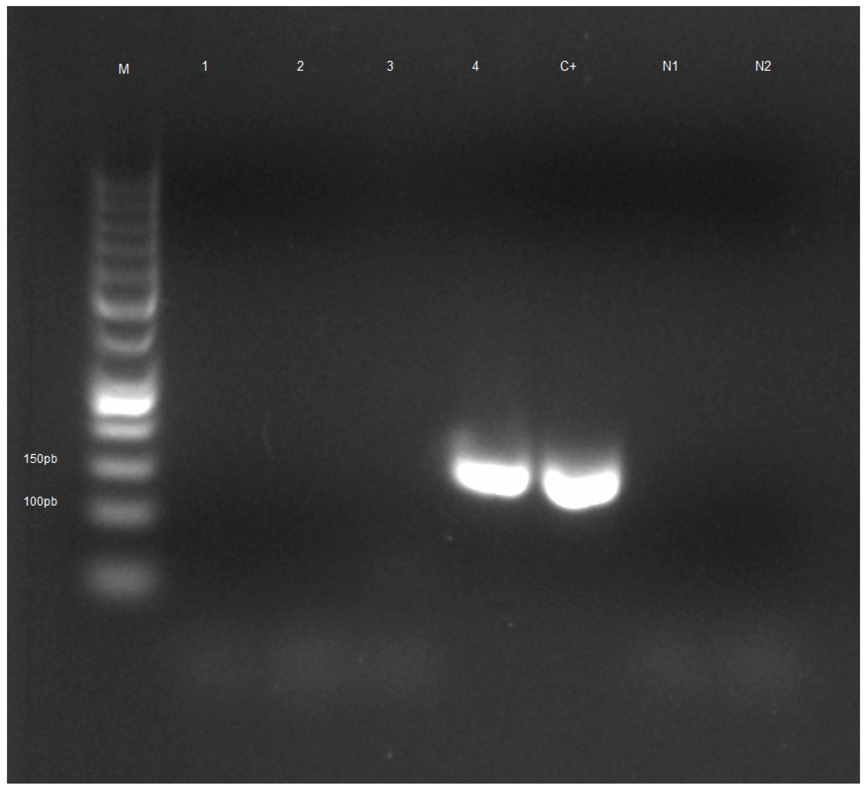 Agriculture 14 00583 g003 Agriculture 14 00583 g003