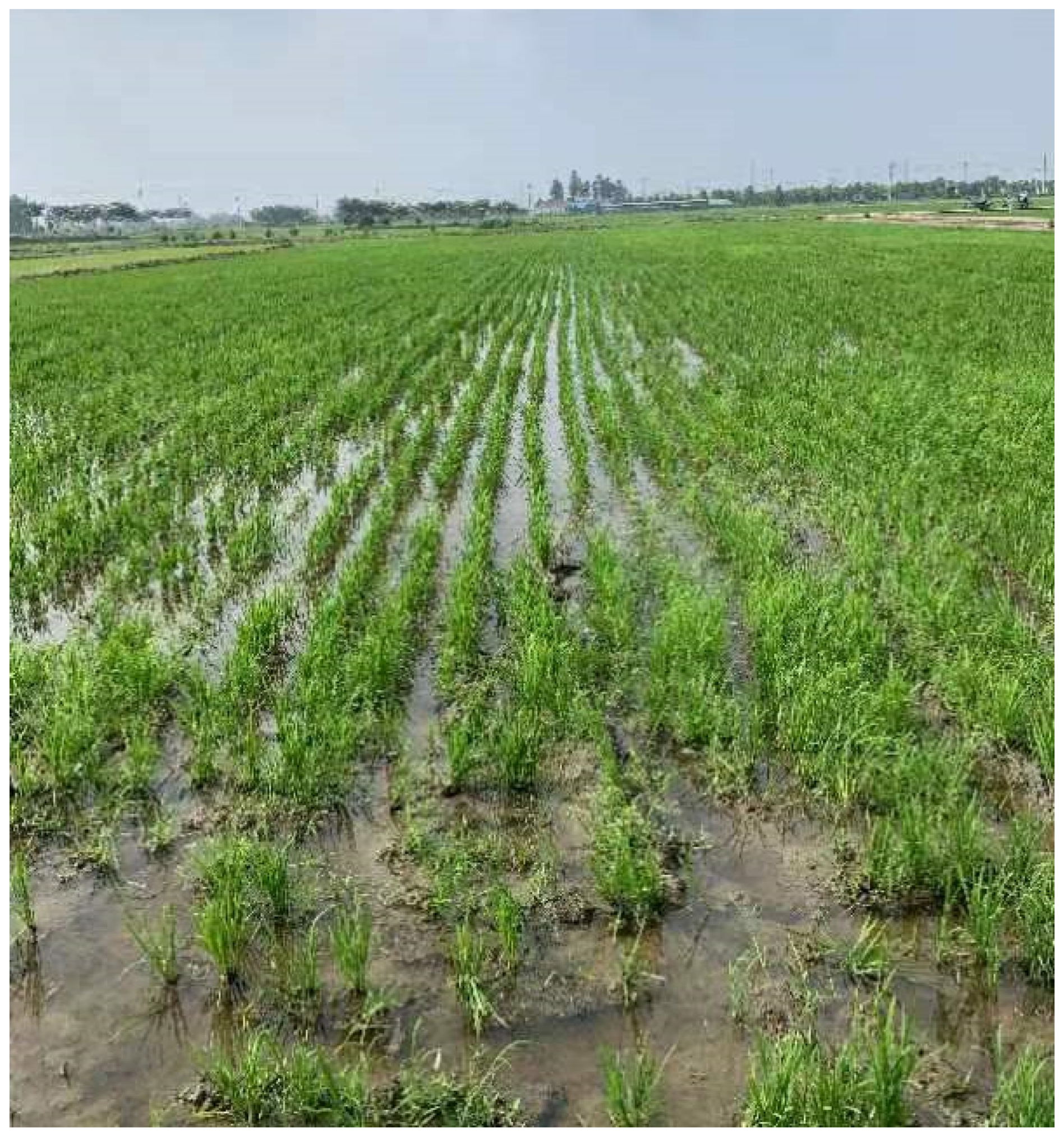 Agriculture 14 00595 g019