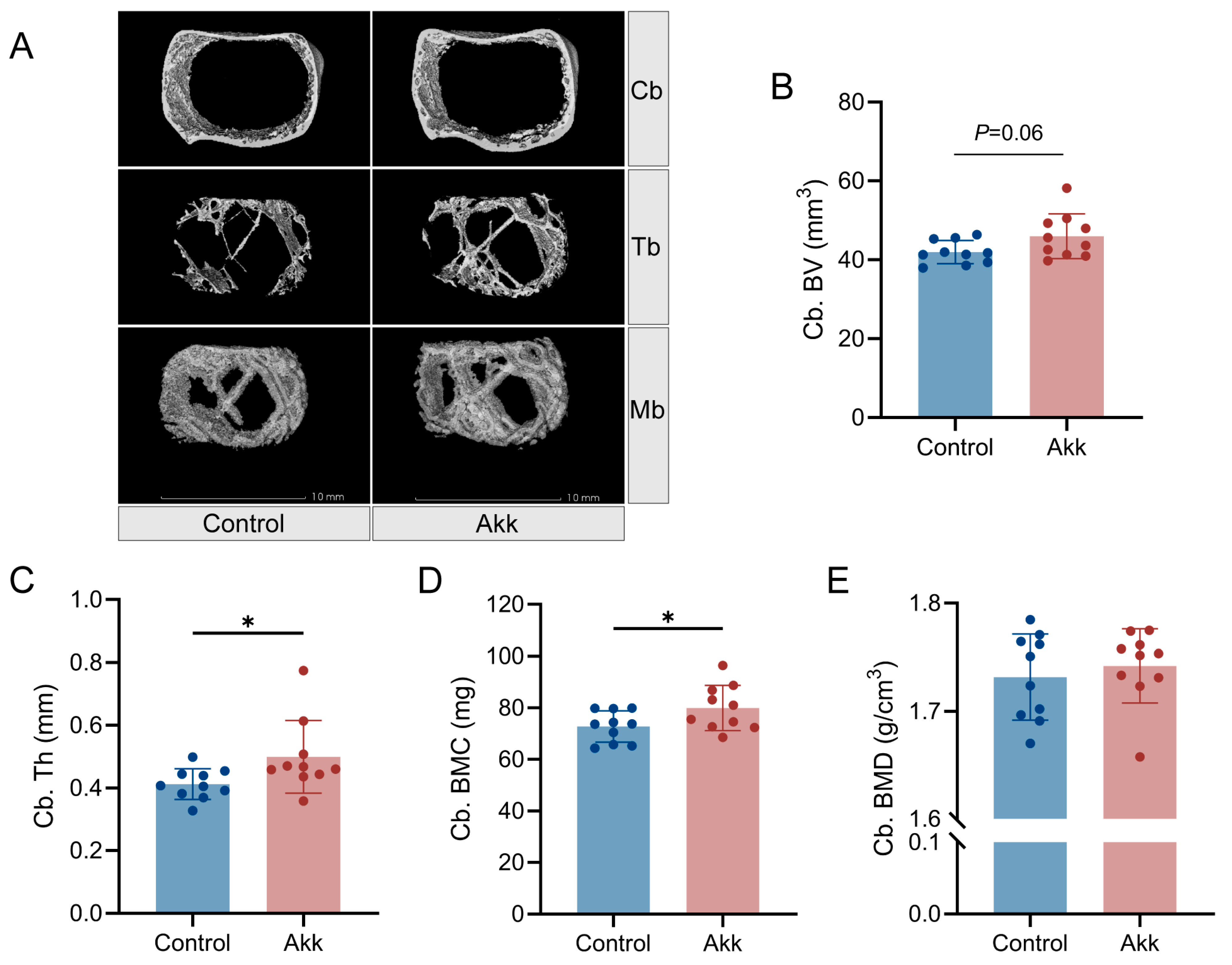 Agriculture 14 00598 g002