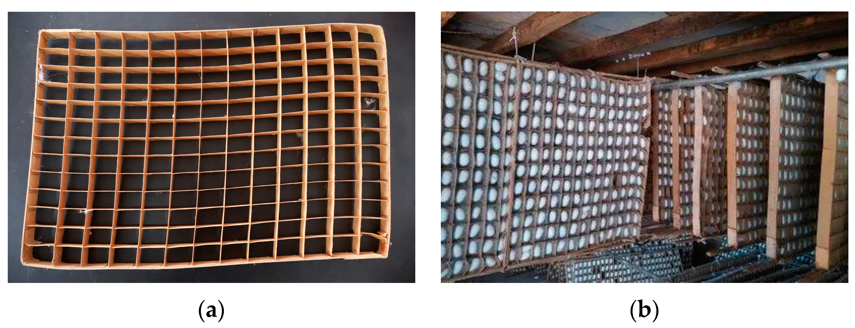 Agriculture 14 00599 g001