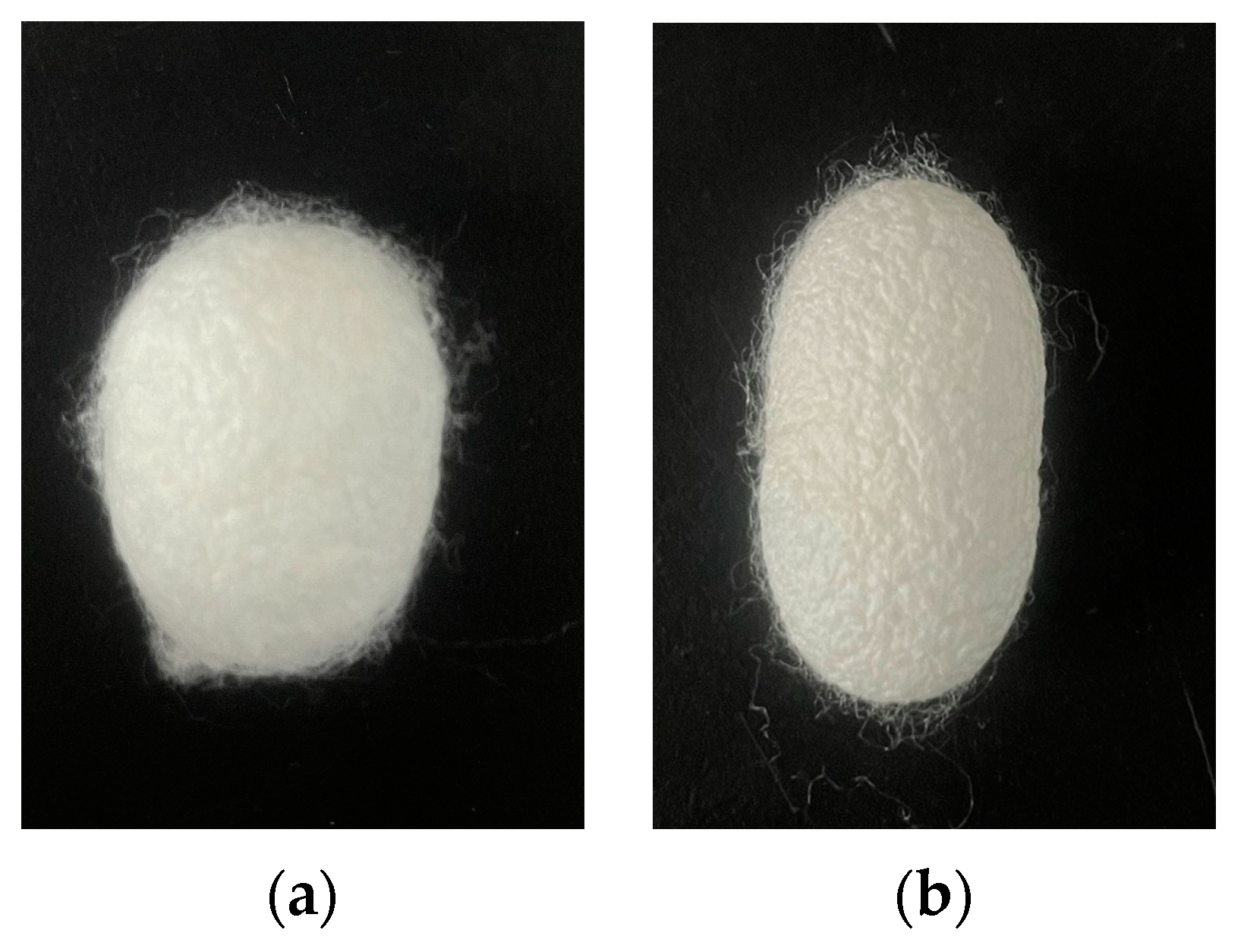 Agriculture 14 00599 g006