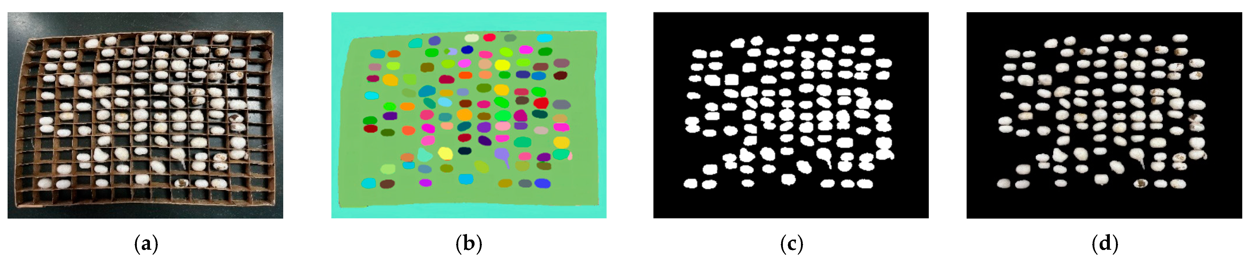 Agriculture 14 00599 g010