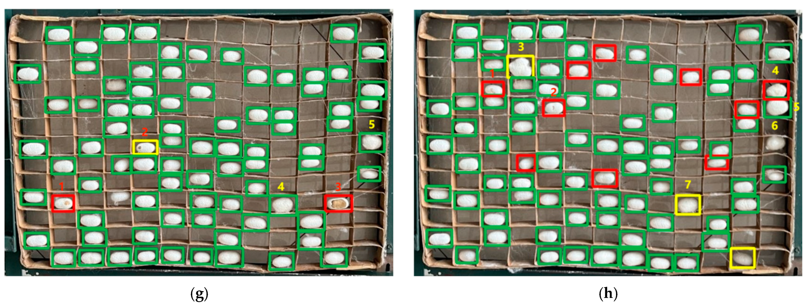 Agriculture 14 00599 g020b