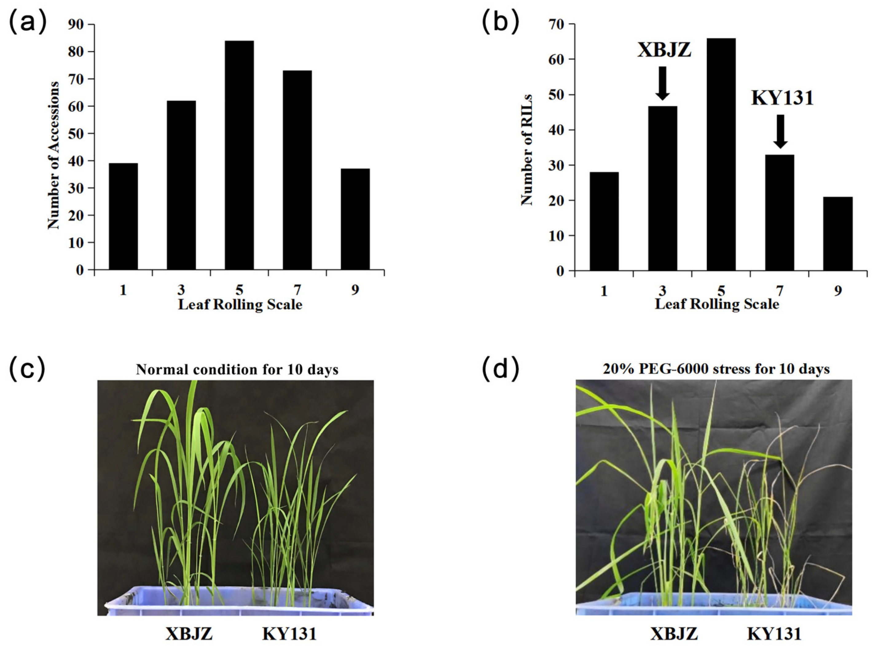 Agriculture 14 00603 g001