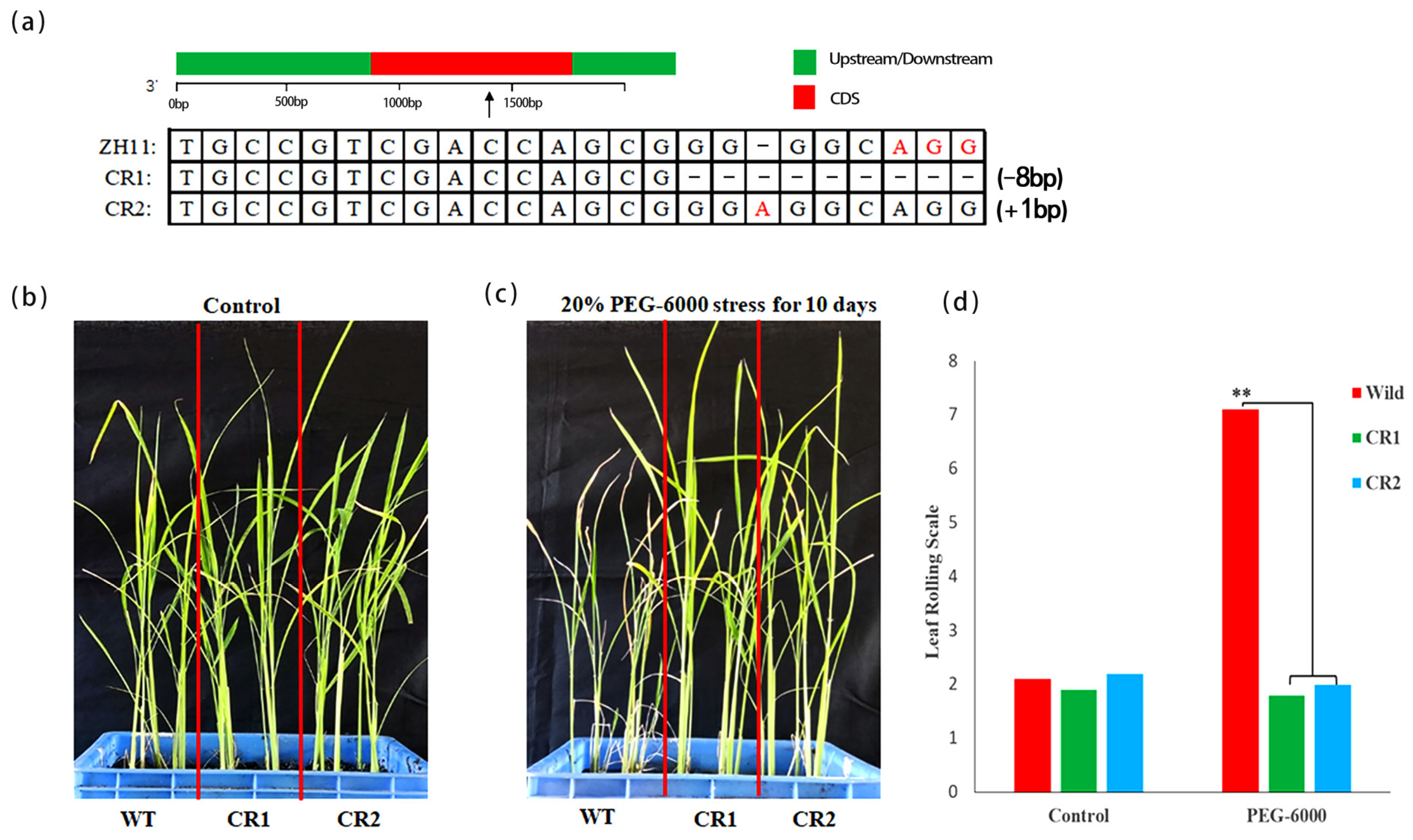 Agriculture 14 00603 g006