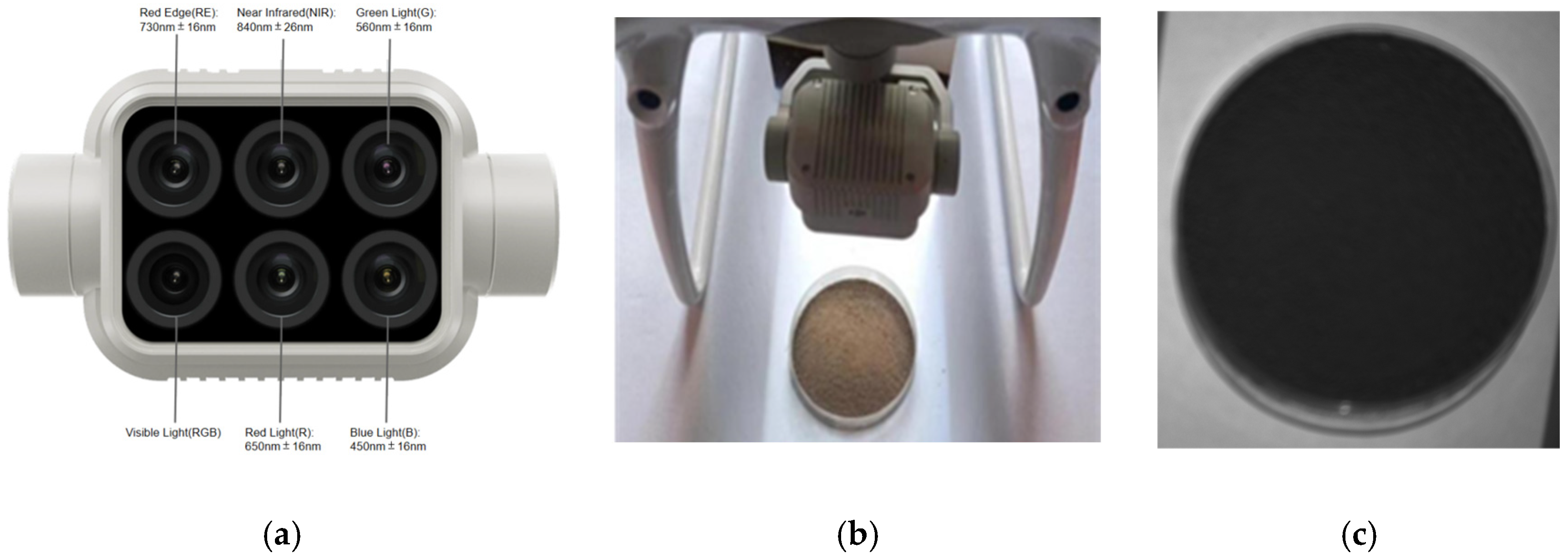Agriculture 14 00605 g005