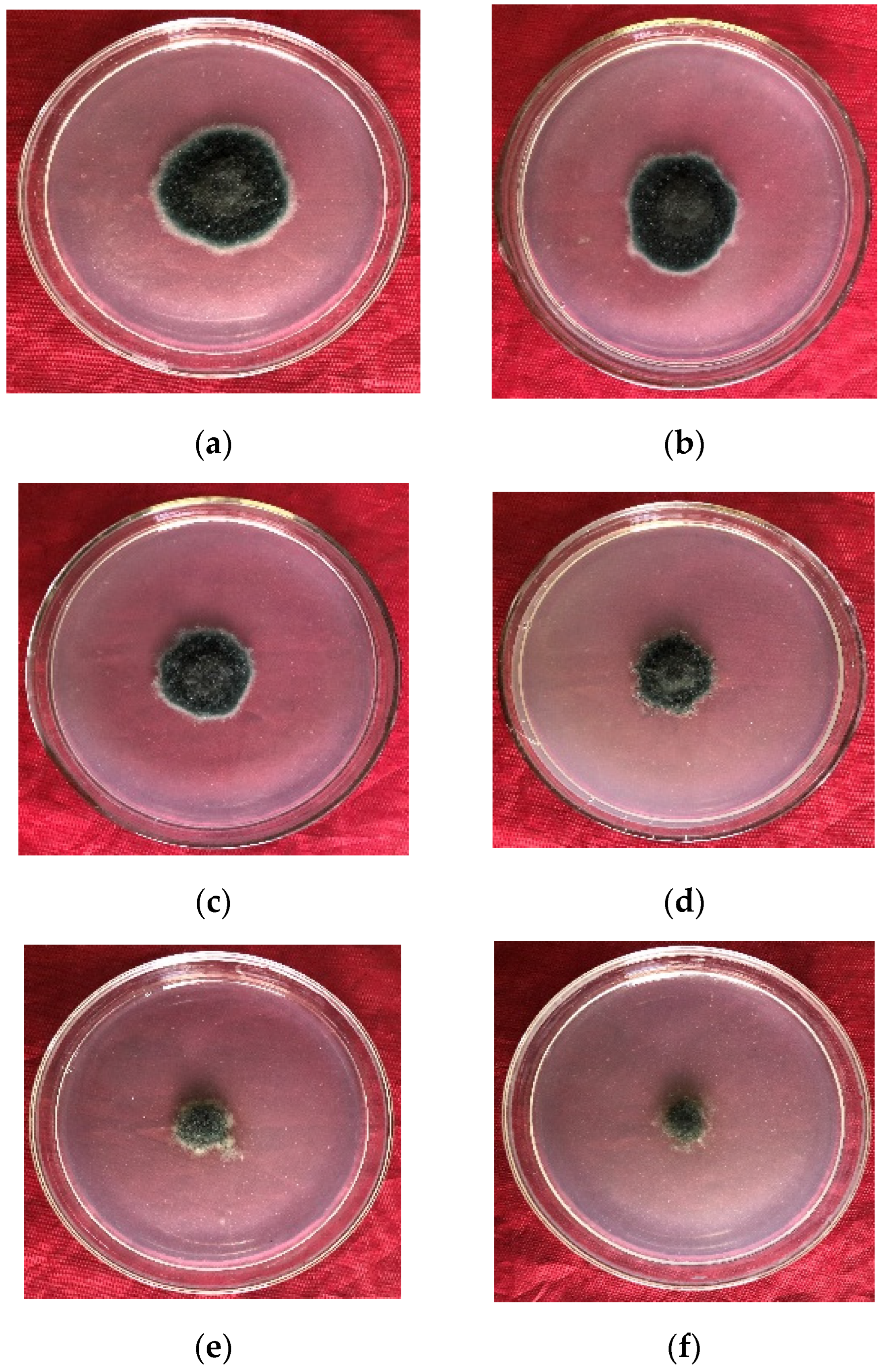 Agriculture 14 00606 g003
