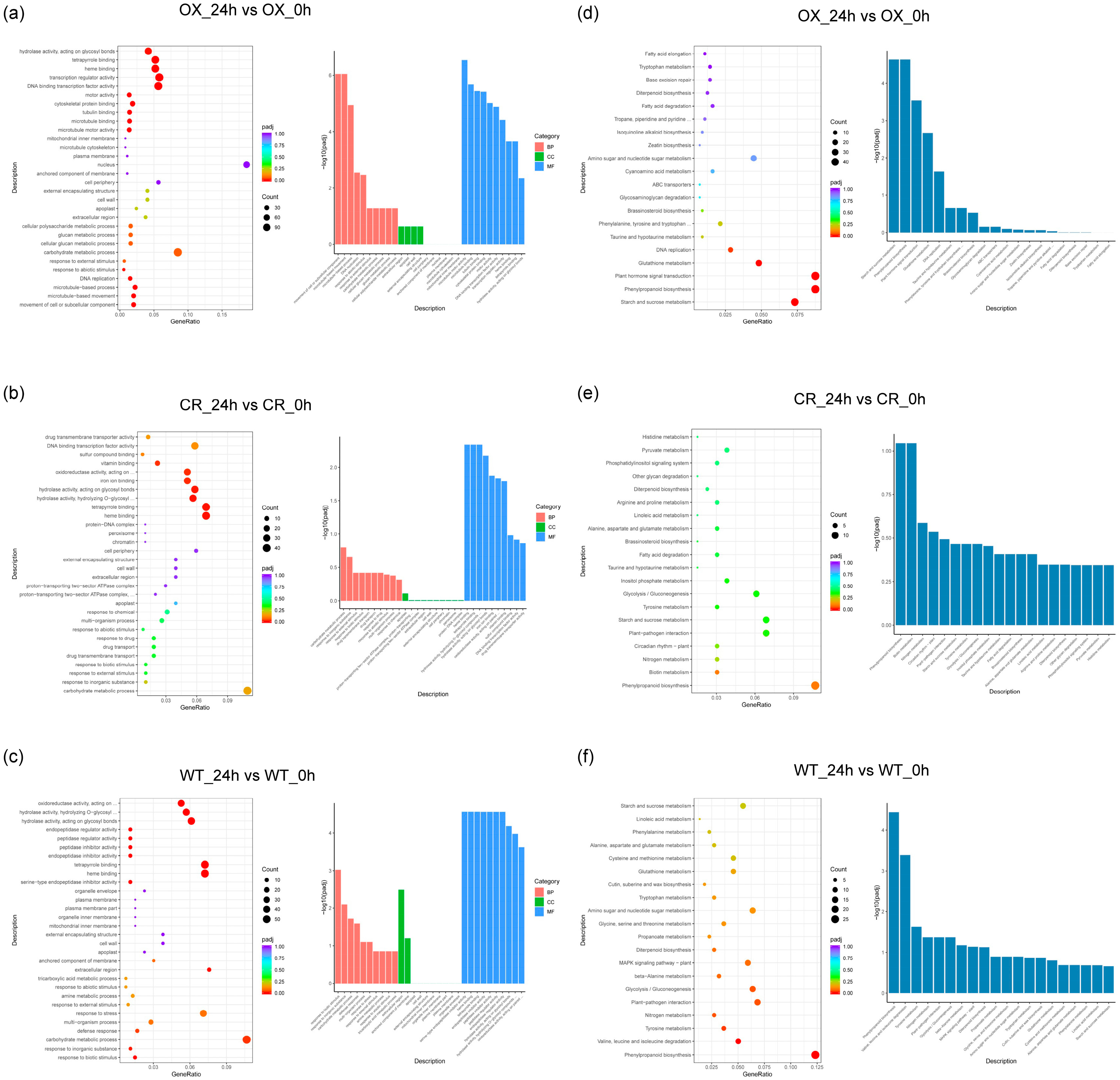 Agriculture 14 00615 g003 Agriculture 14 00615 g003