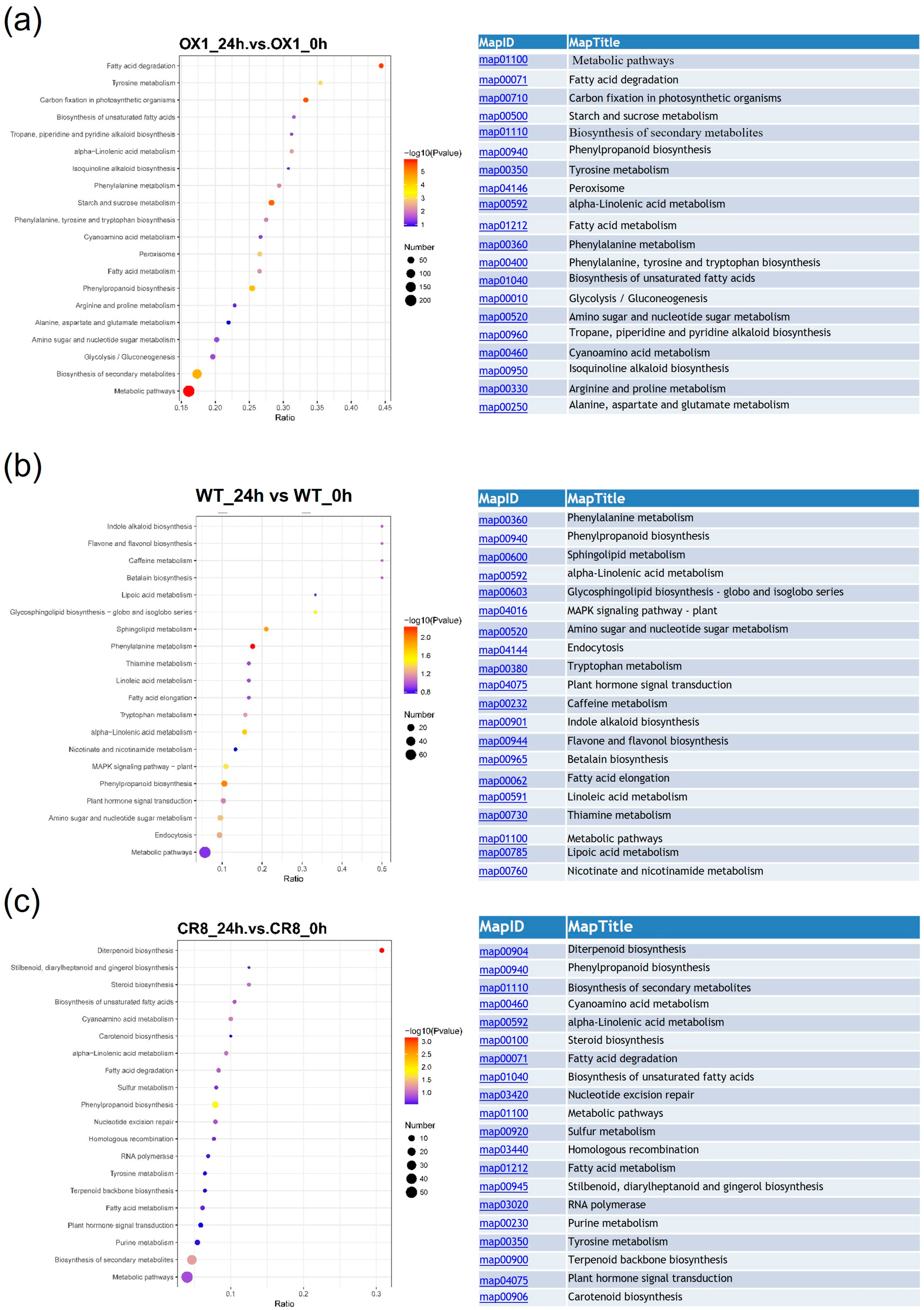 Agriculture 14 00615 g005 Agriculture 14 00615 g005