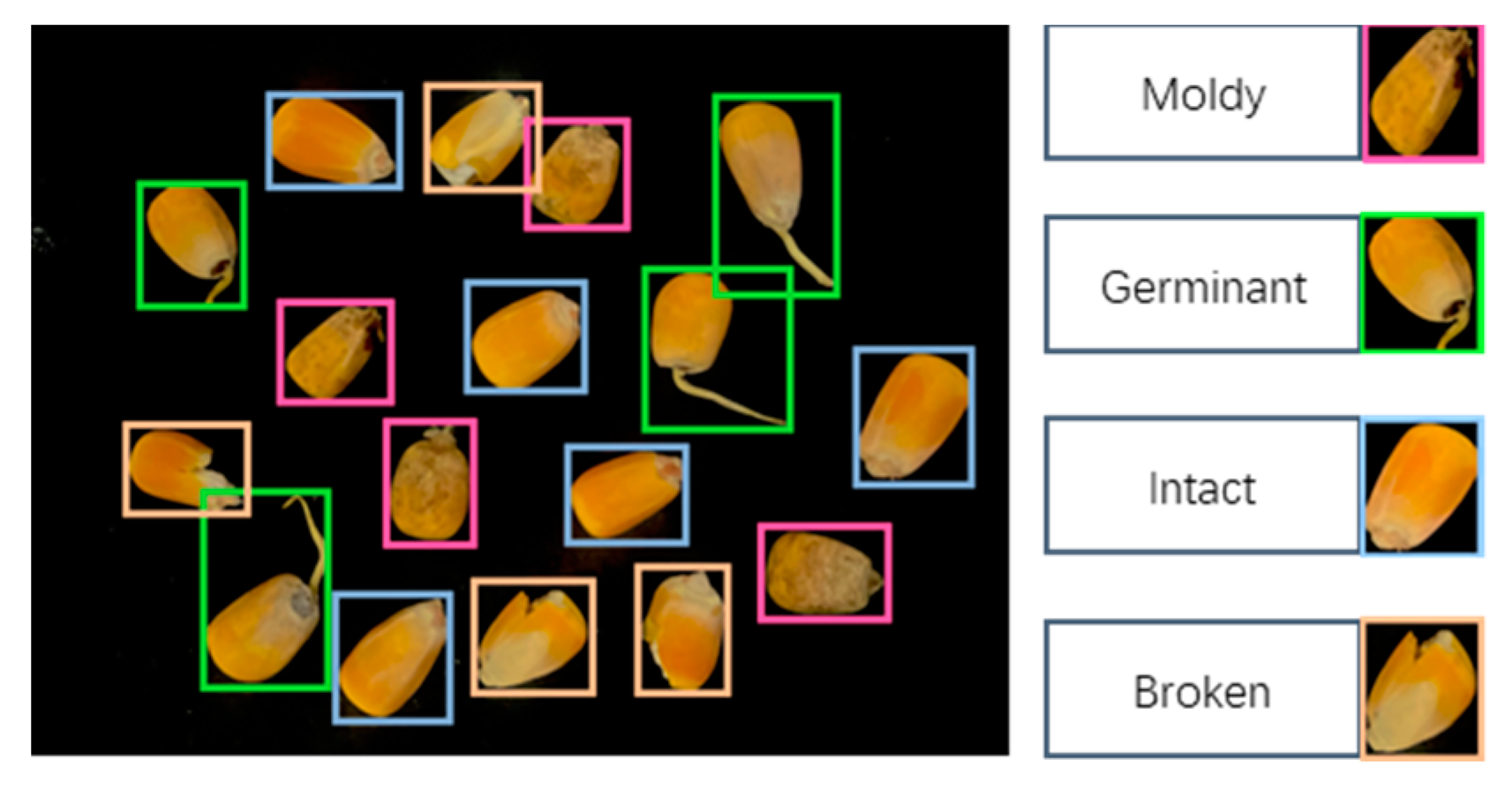 Agriculture 14 00618 g001b