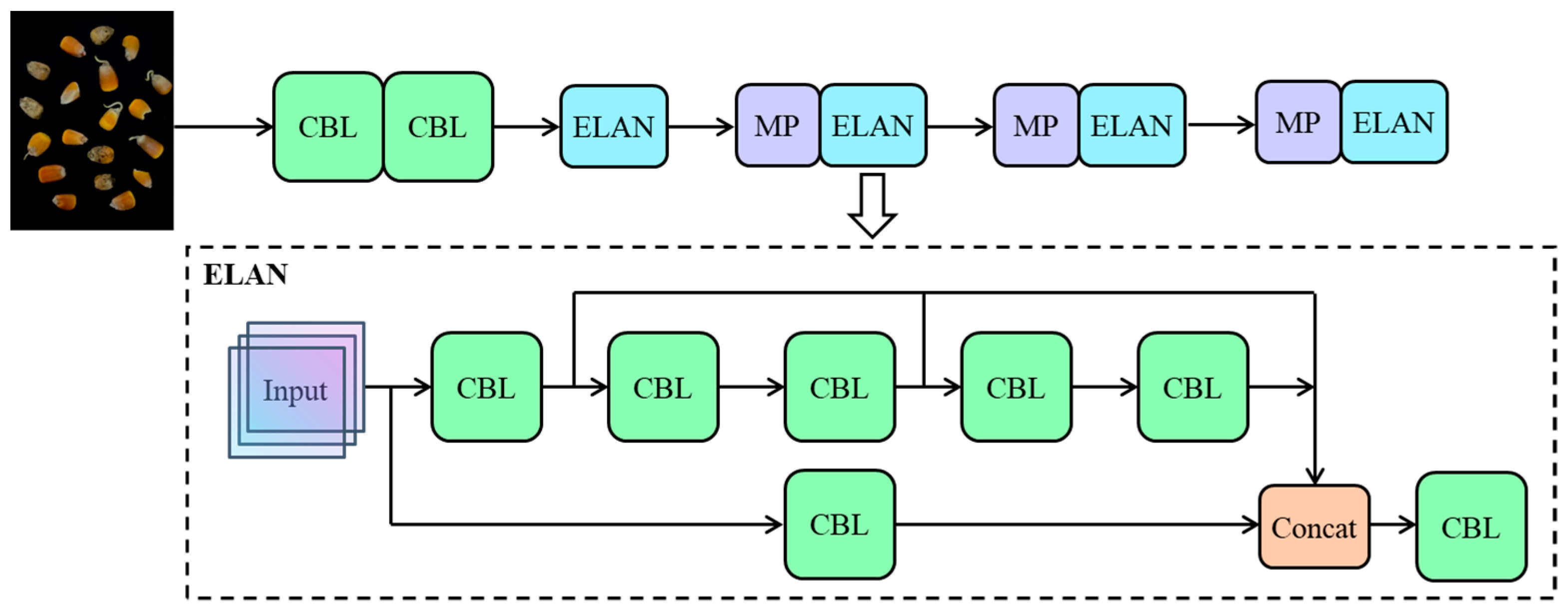 Agriculture 14 00618 g004