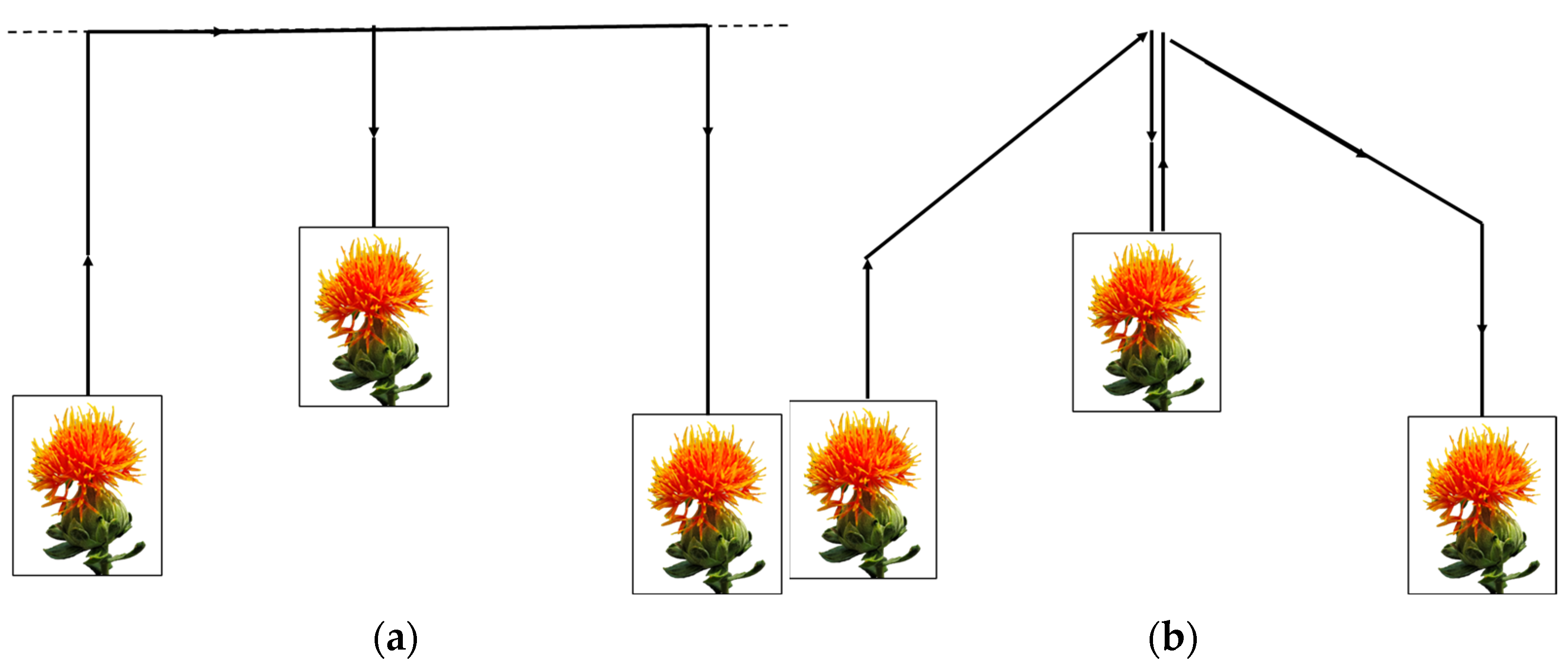 Agriculture 14 00622 g004