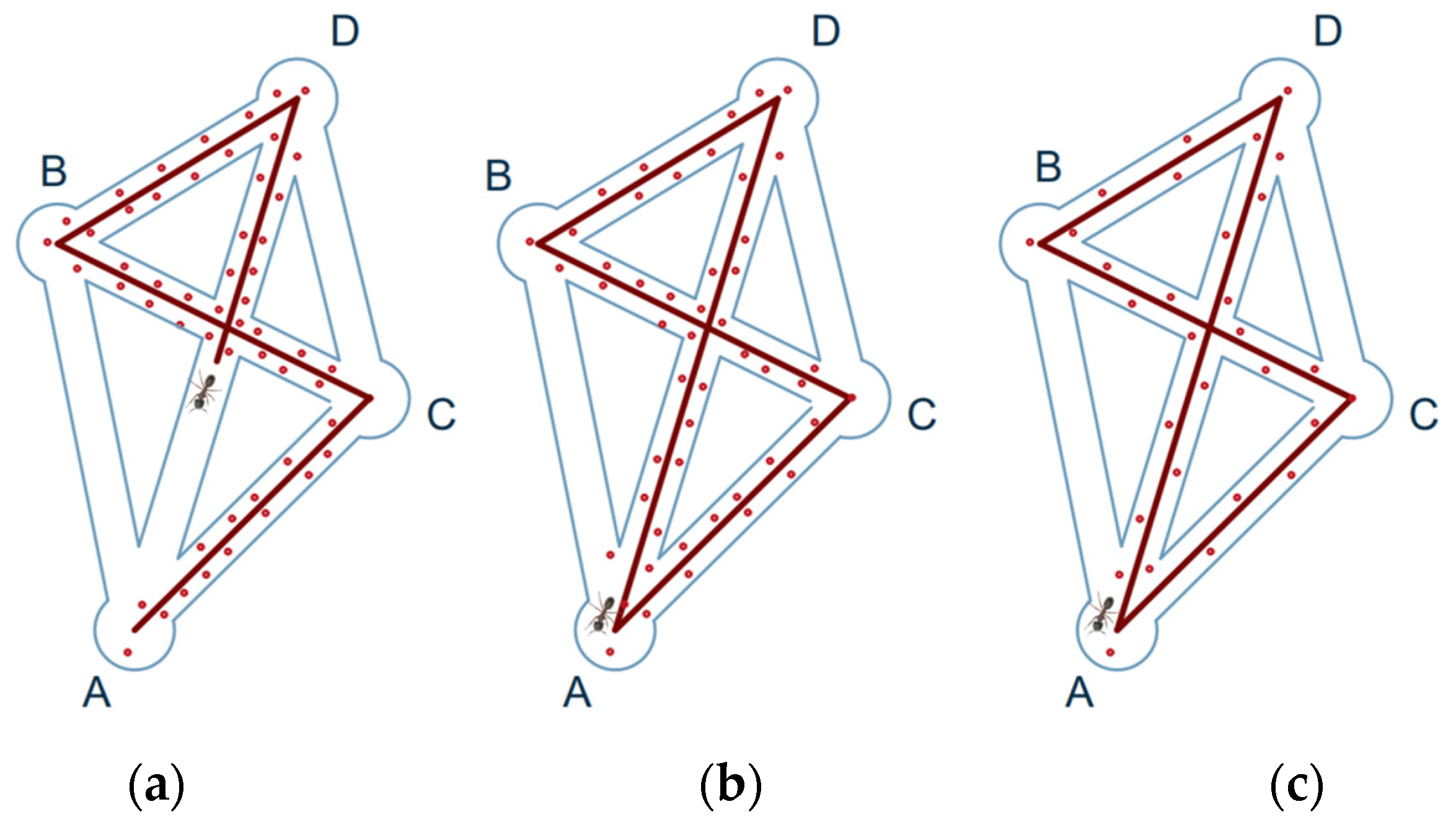 Agriculture 14 00622 g009