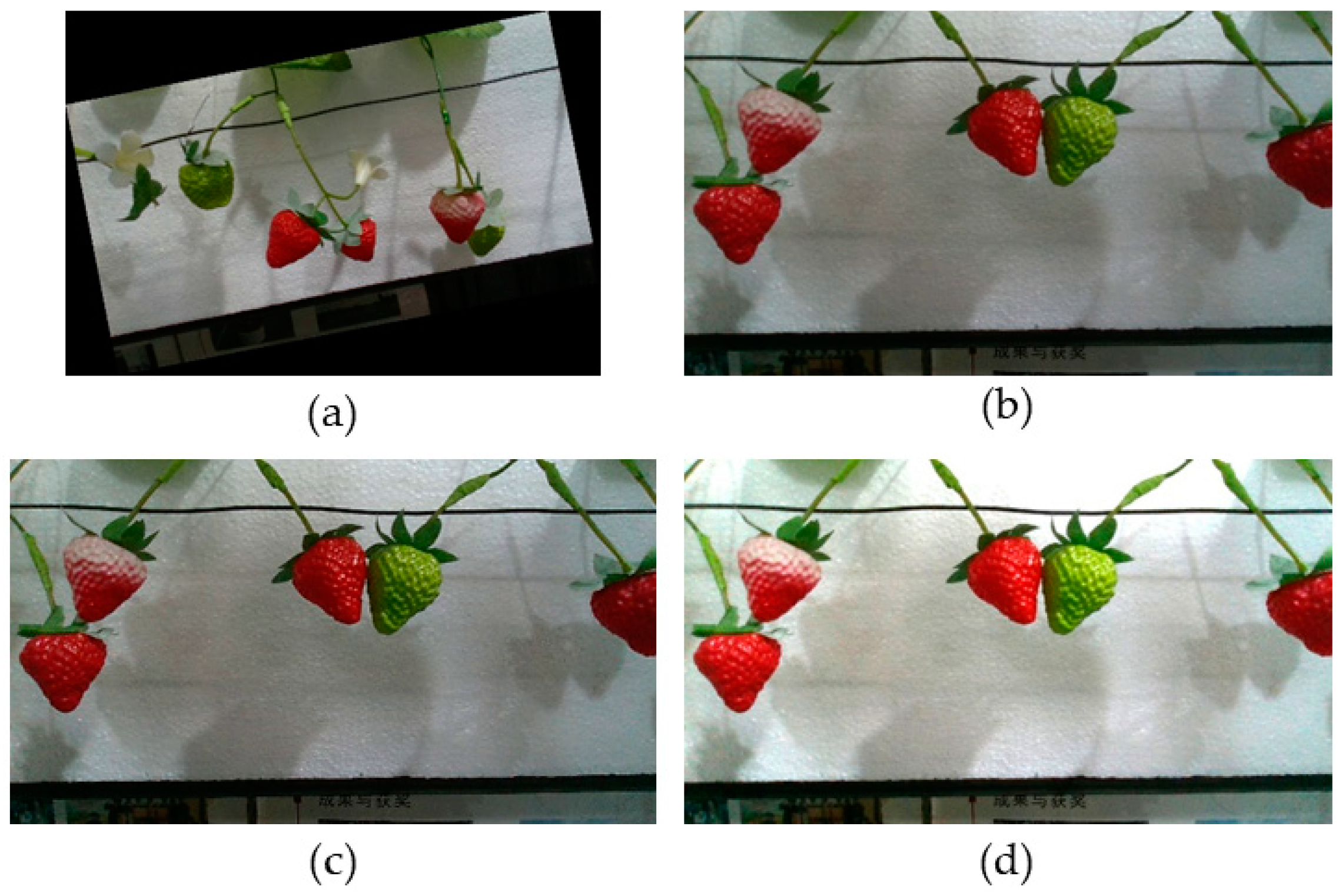 Agriculture 14 00624 g003