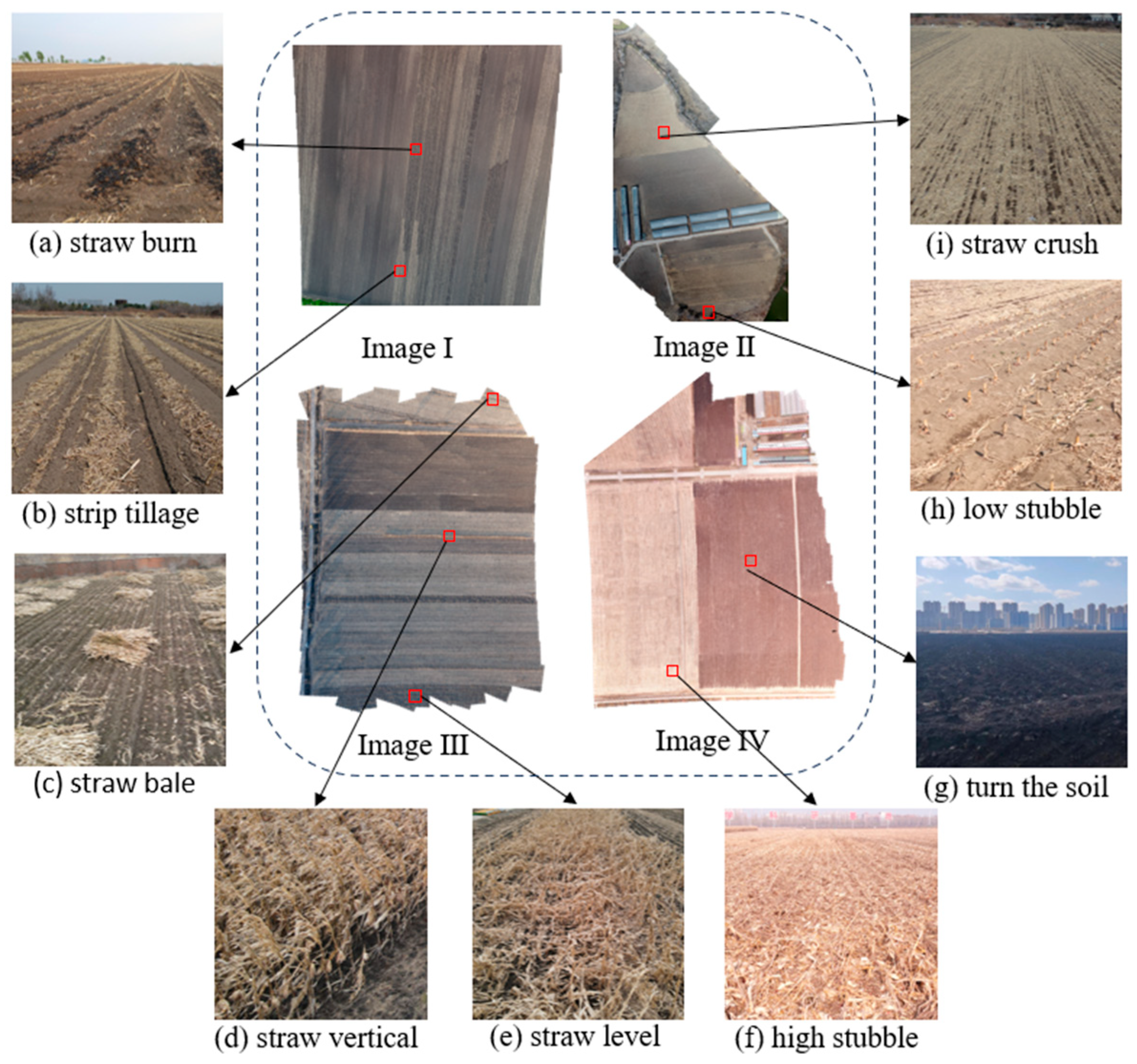 Agriculture 14 00628 g001