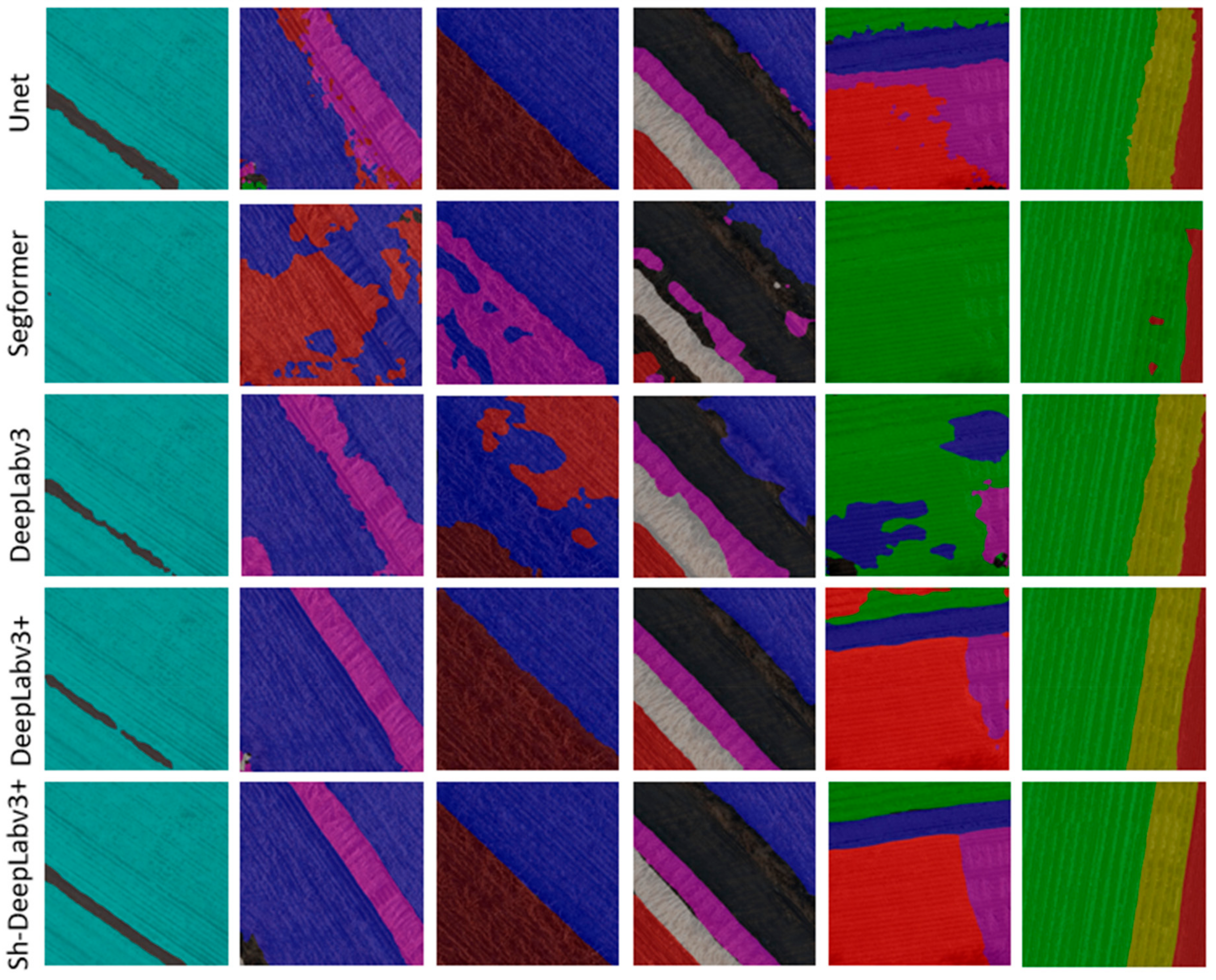 Agriculture 14 00628 g005b