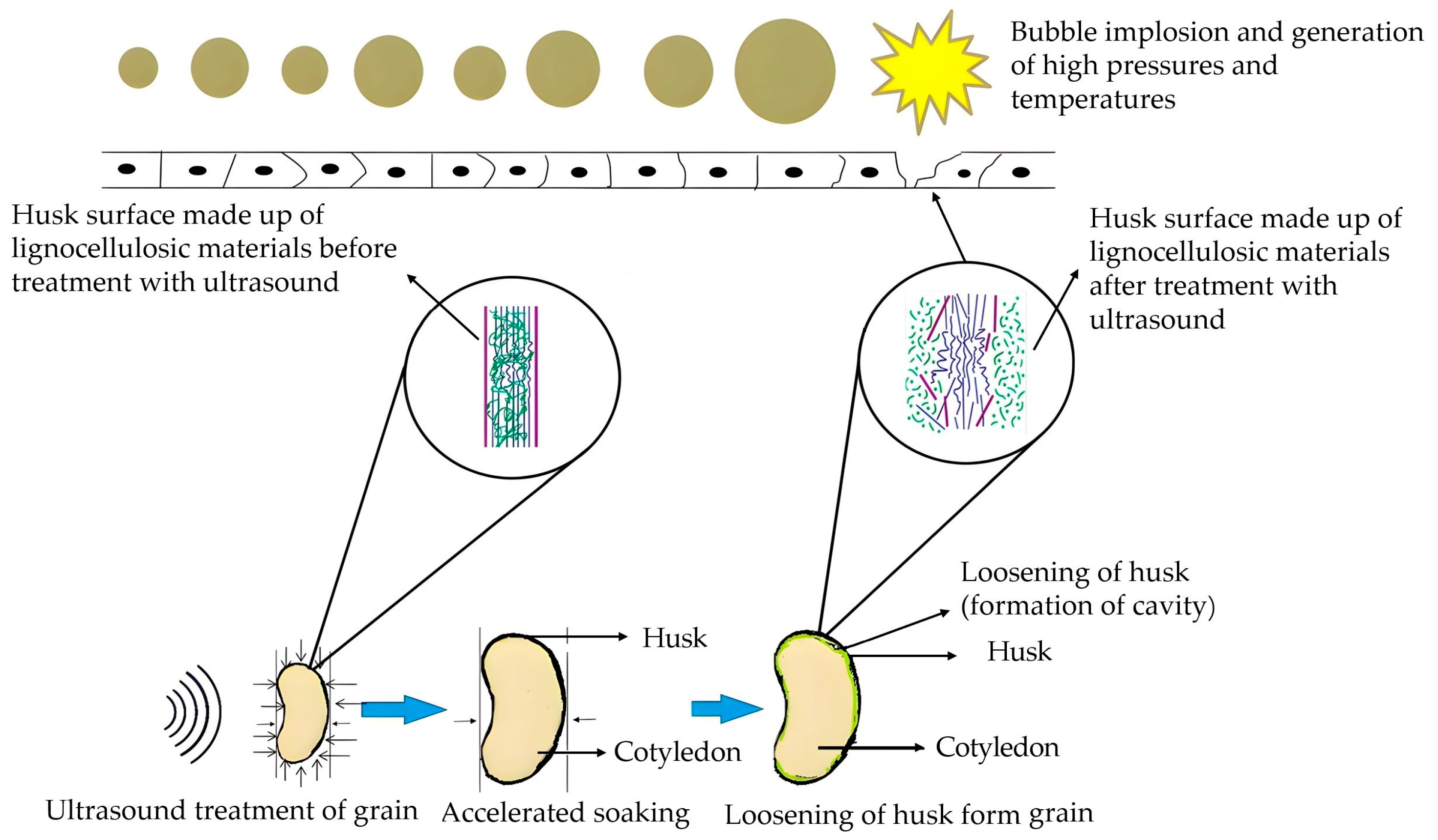Agriculture 14 00632 g012