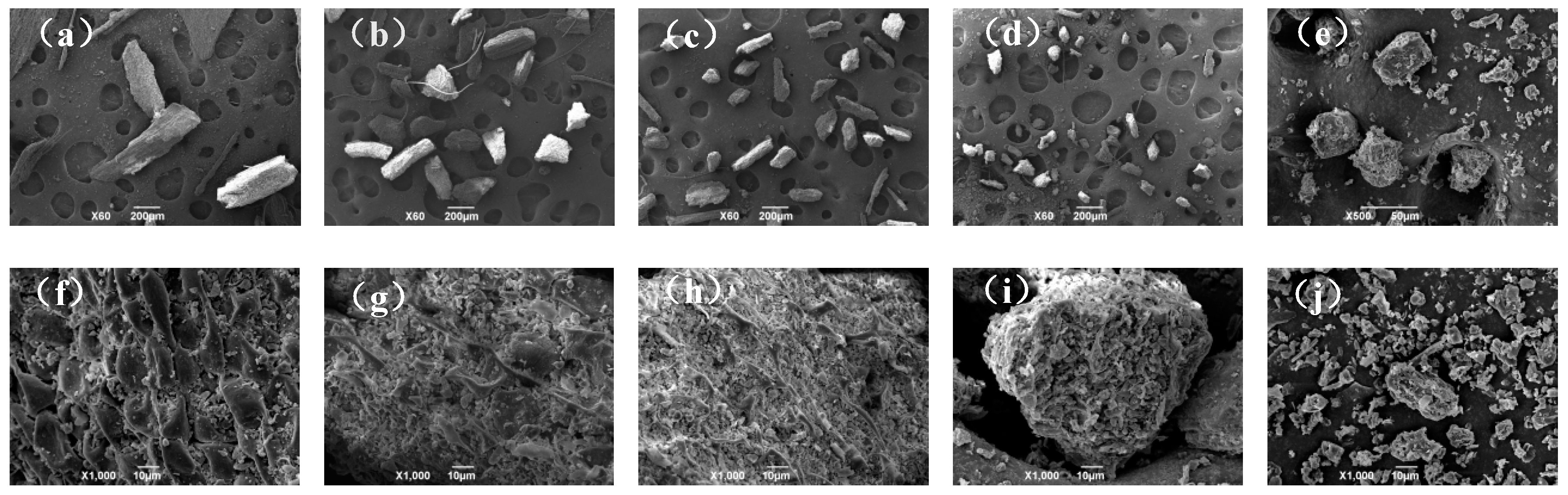 Agriculture 14 00634 g006