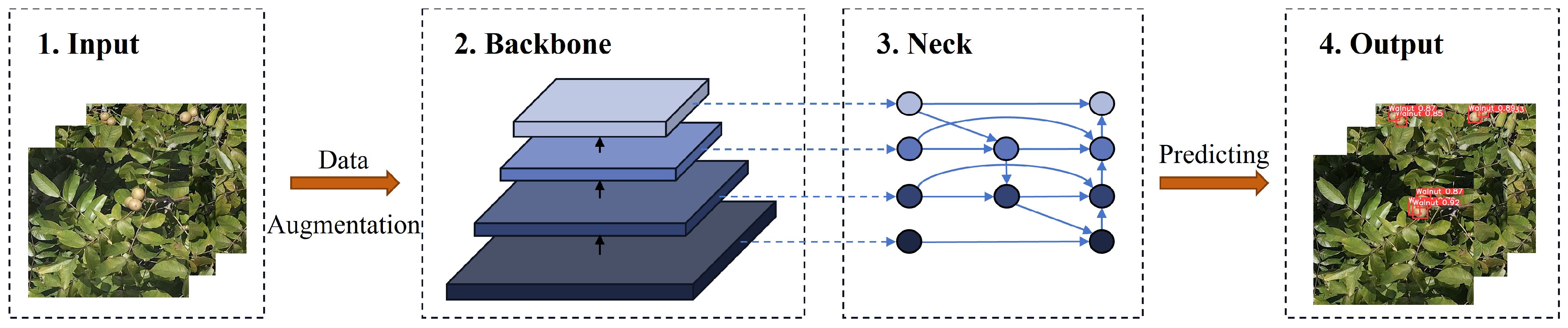 Agriculture 14 00646 g001
