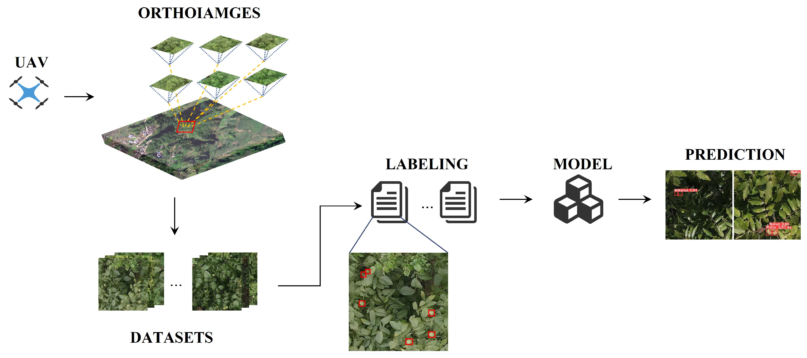 Agriculture 14 00646 g002