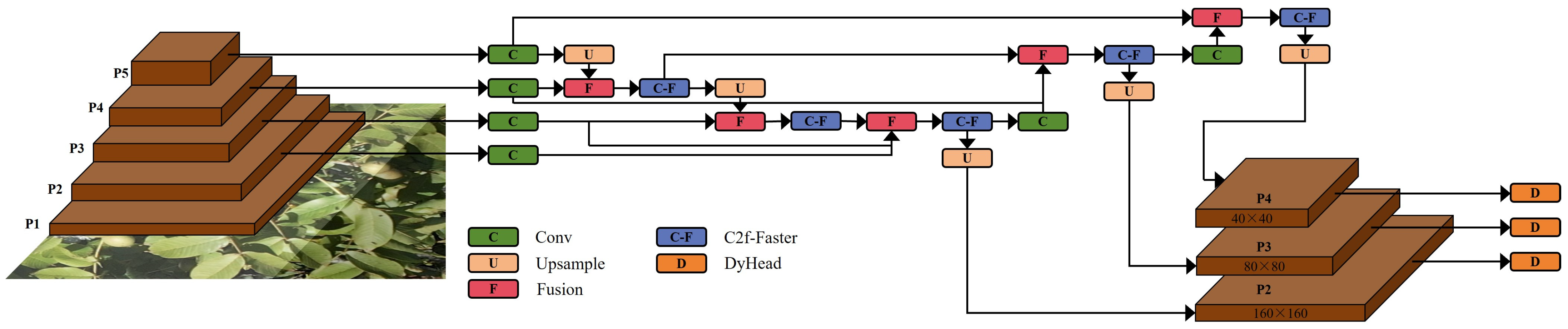 Agriculture 14 00646 g005