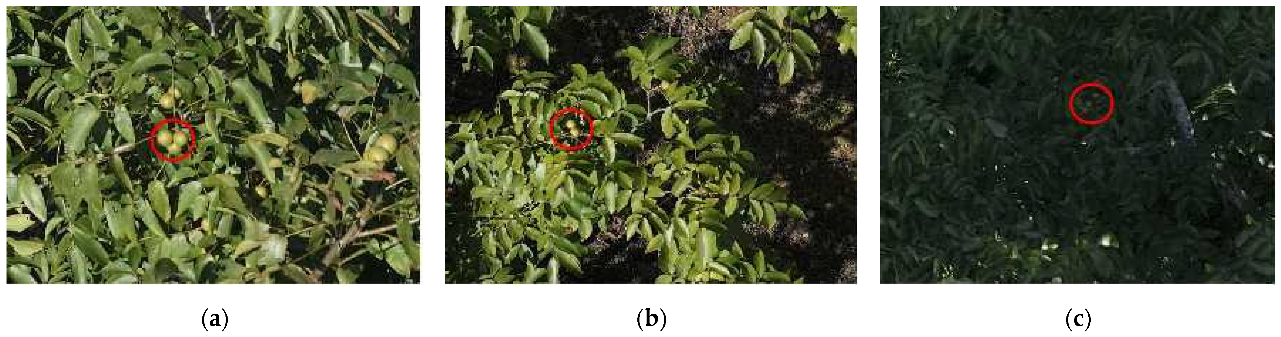 Agriculture 14 00646 g011