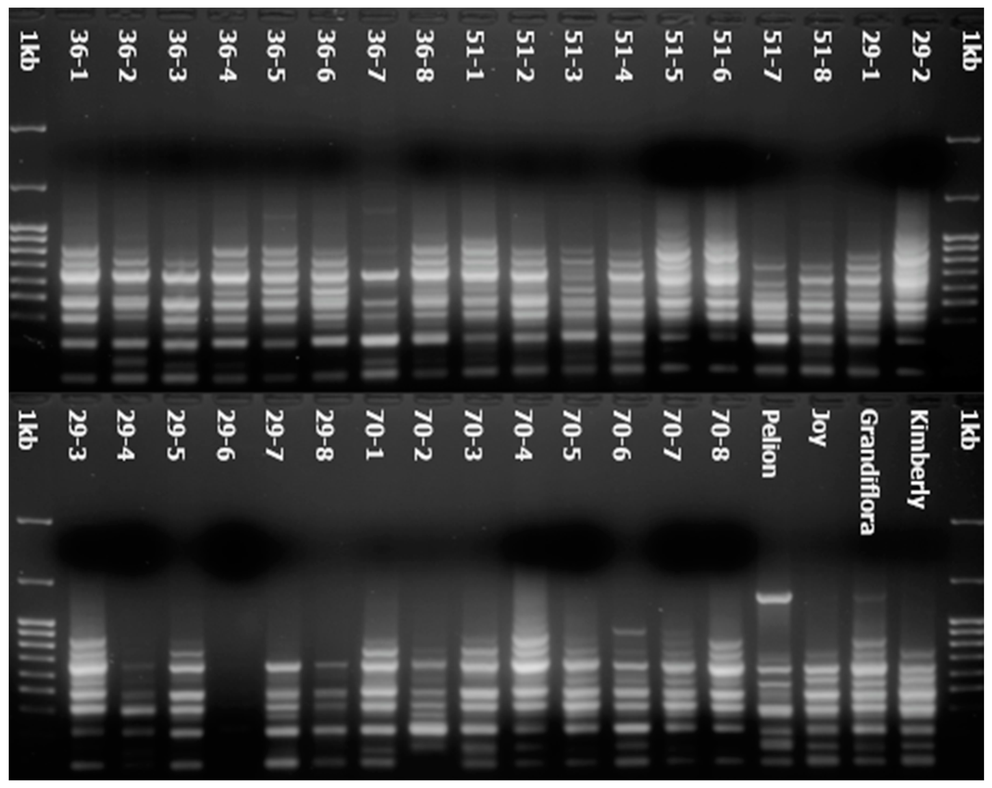 Agriculture 14 00650 g001