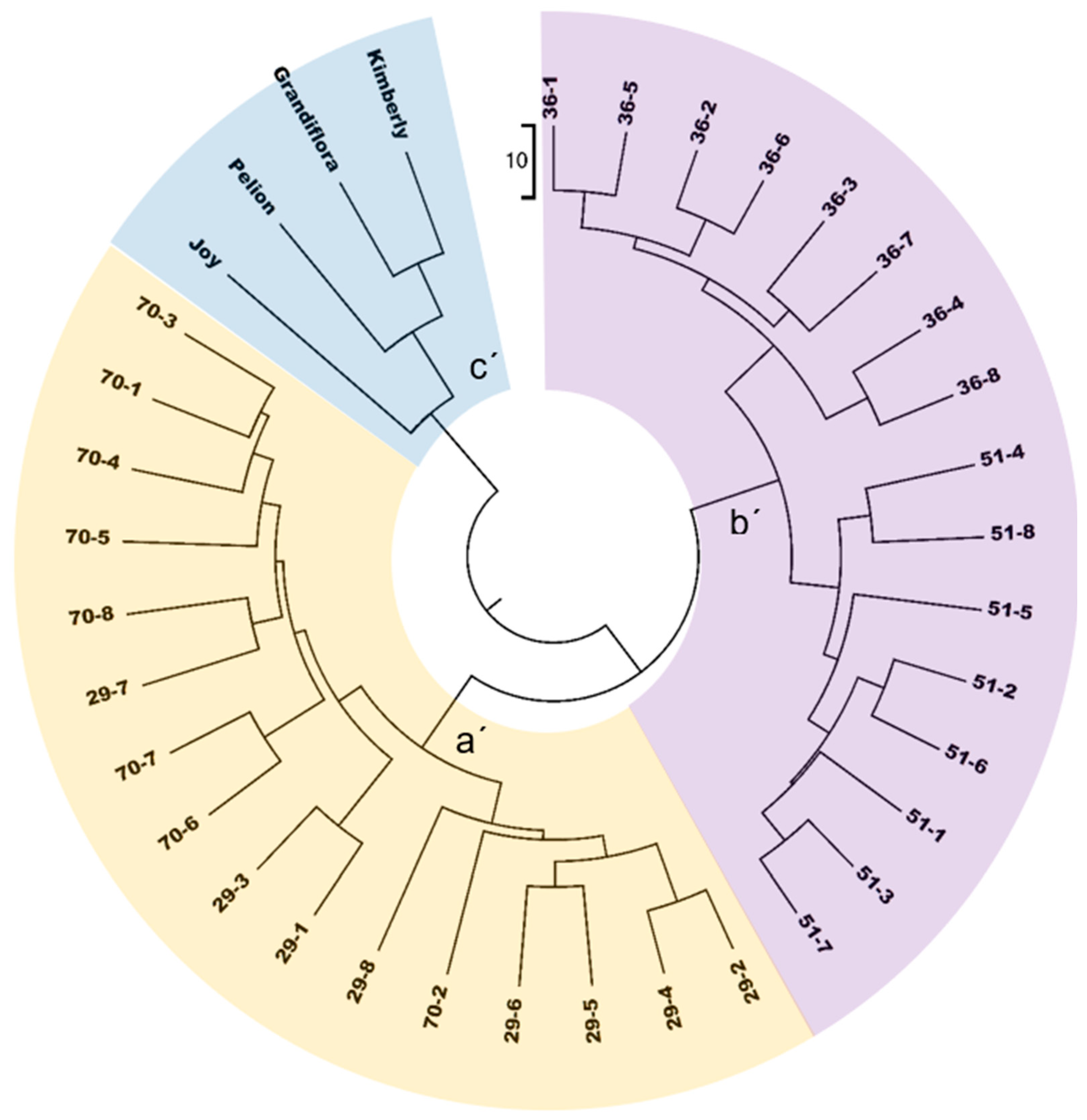 Agriculture 14 00650 g003