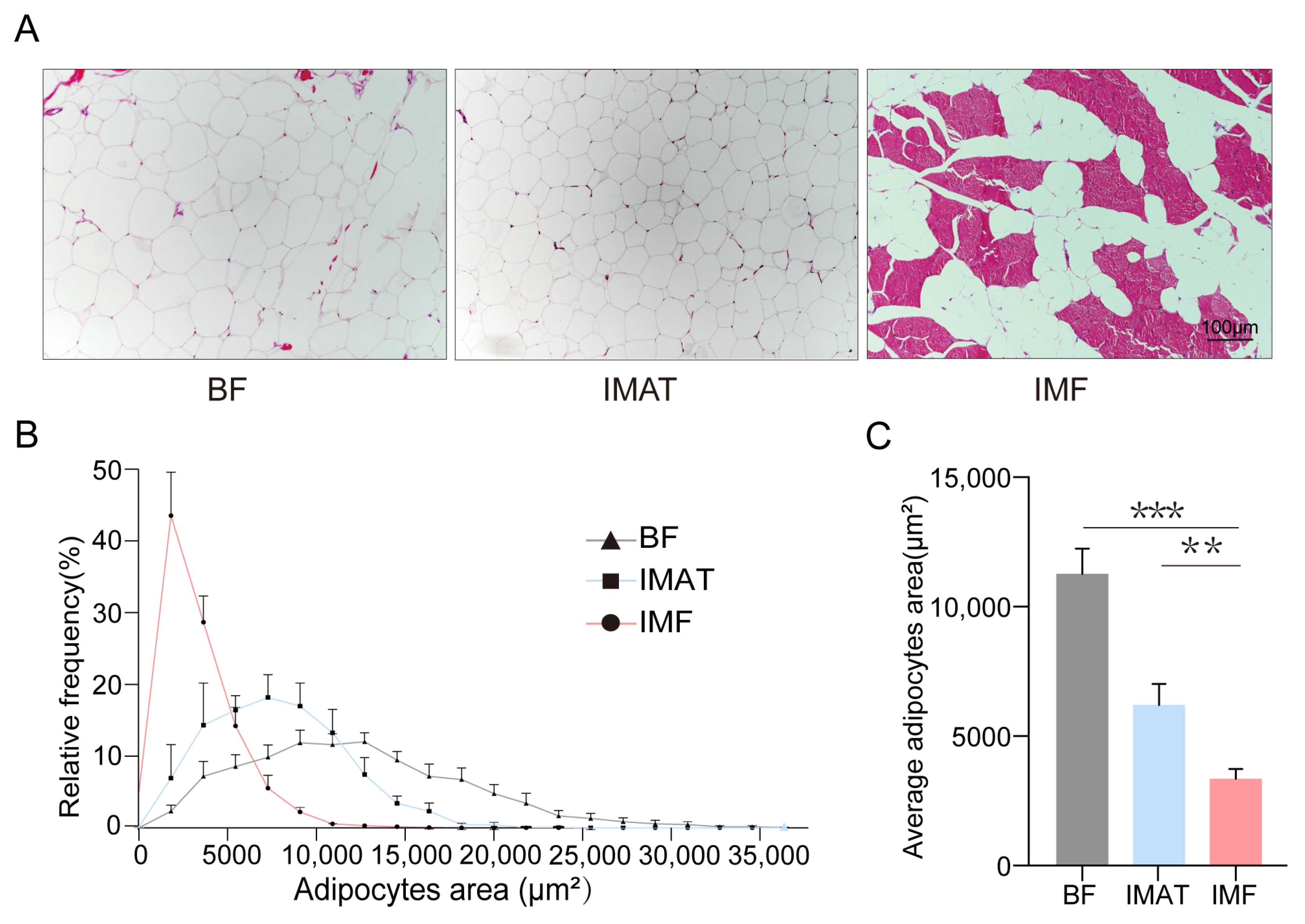 Agriculture 14 00658 g001