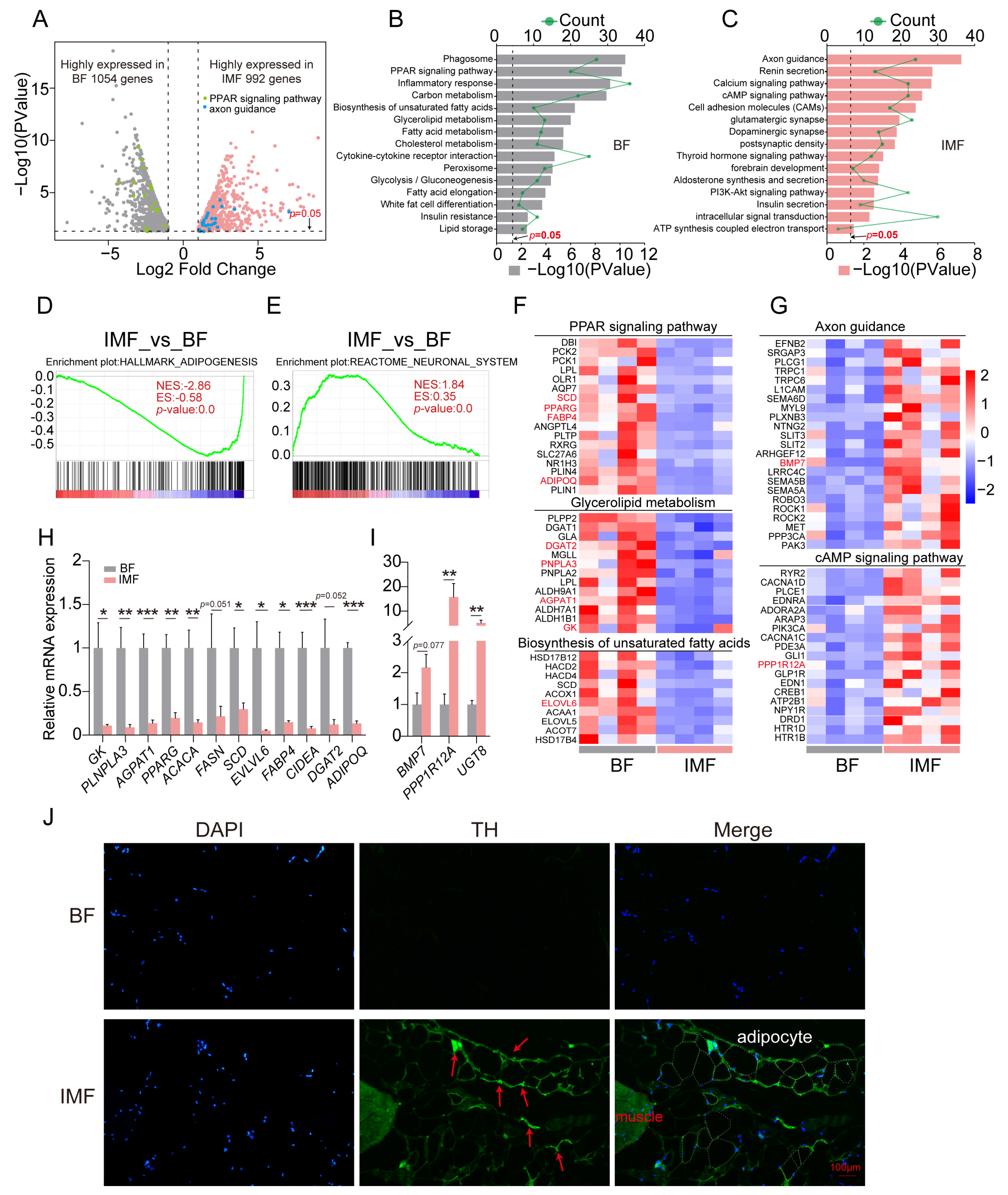 Agriculture 14 00658 g007