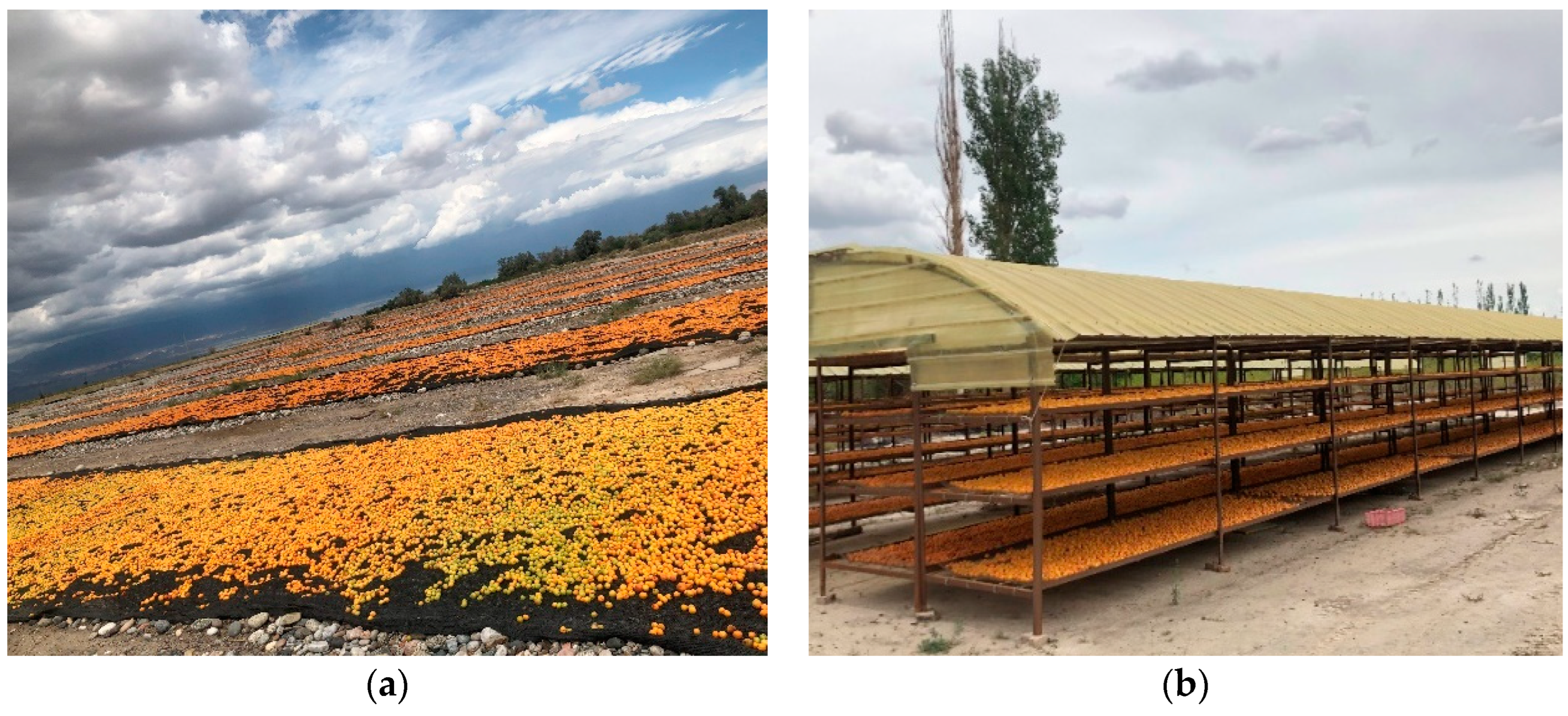 Agriculture 14 00660 g001 Agriculture 14 00660 g001