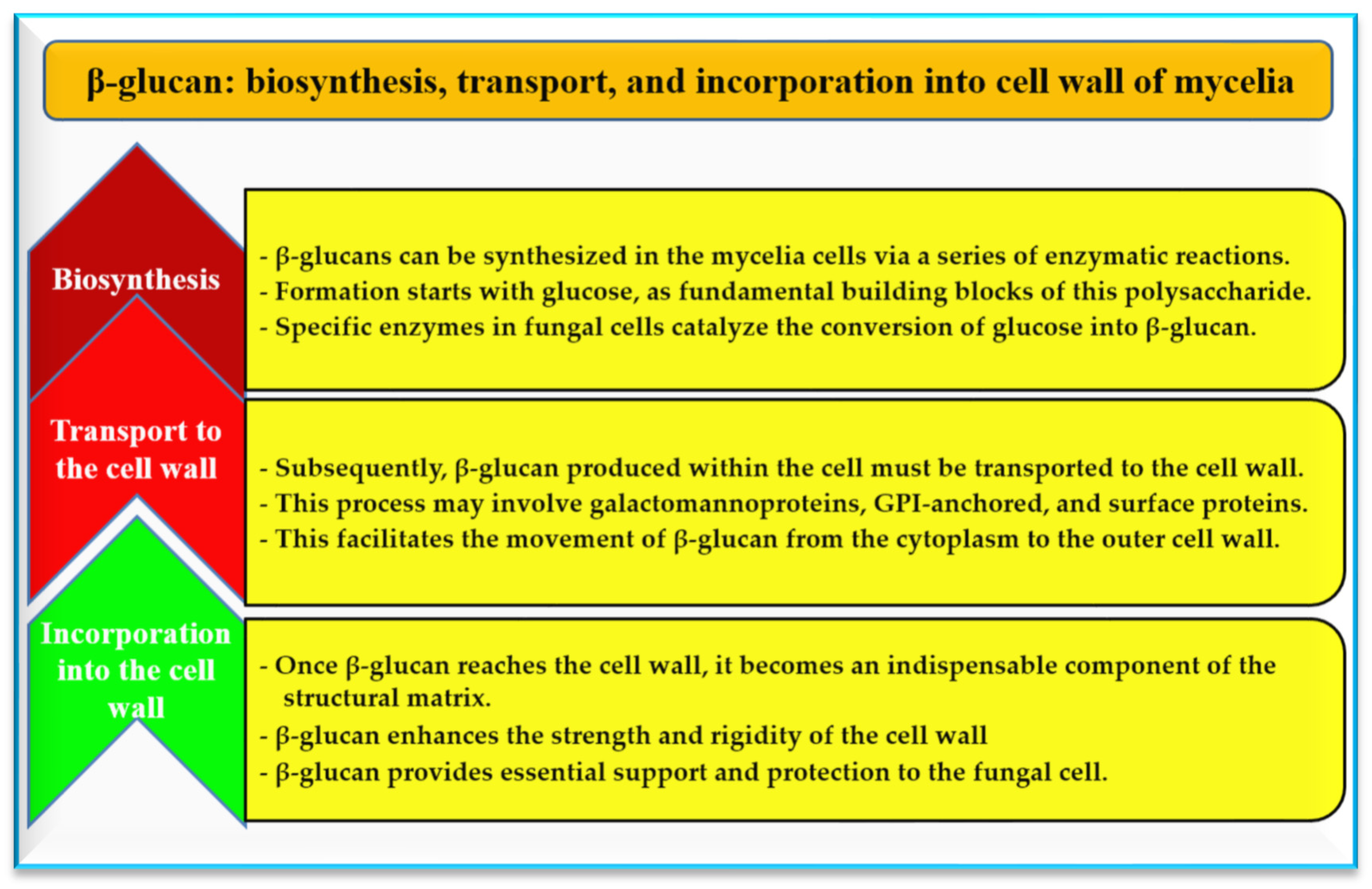 Agriculture 14 00663 g003