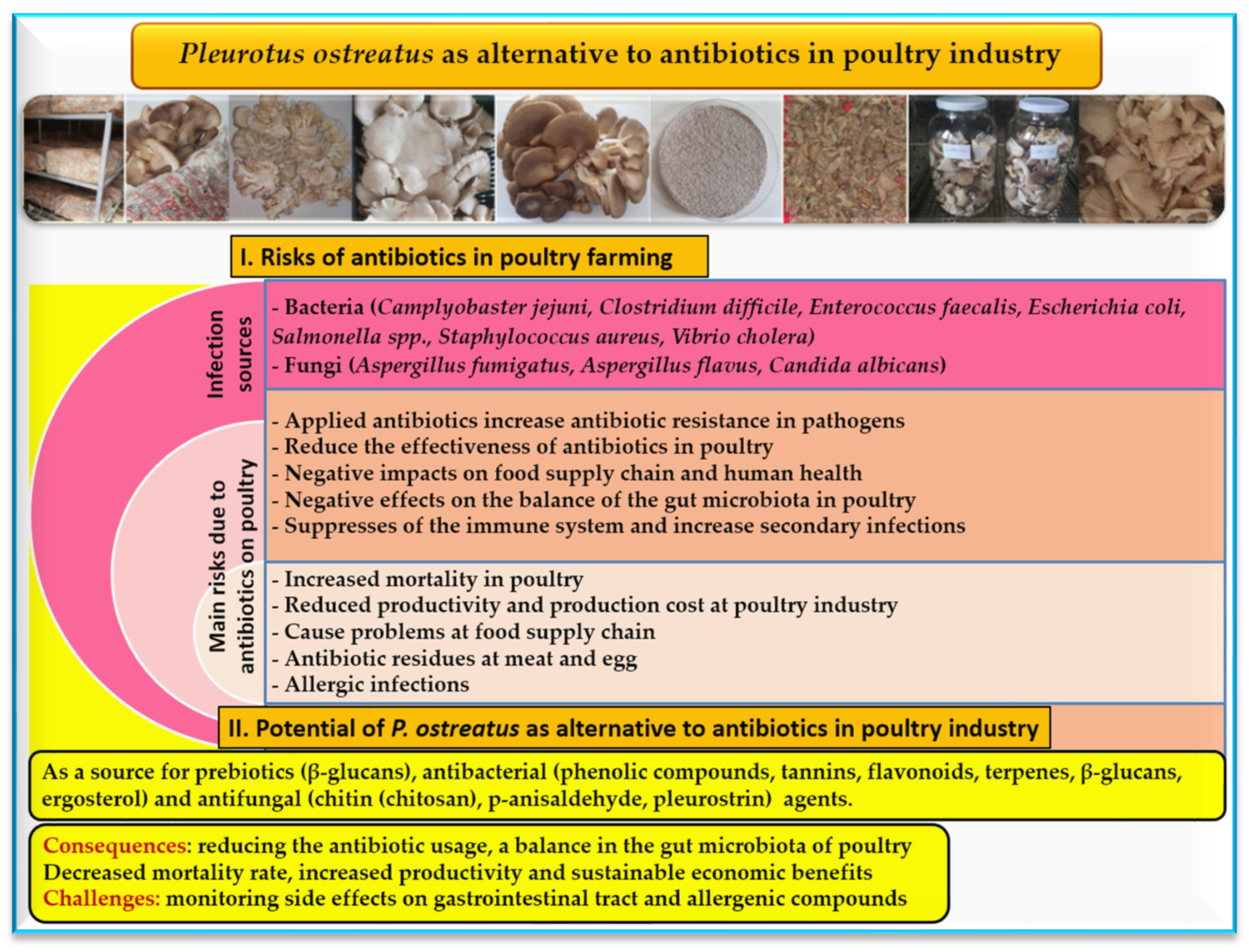 Agriculture 14 00663 g004