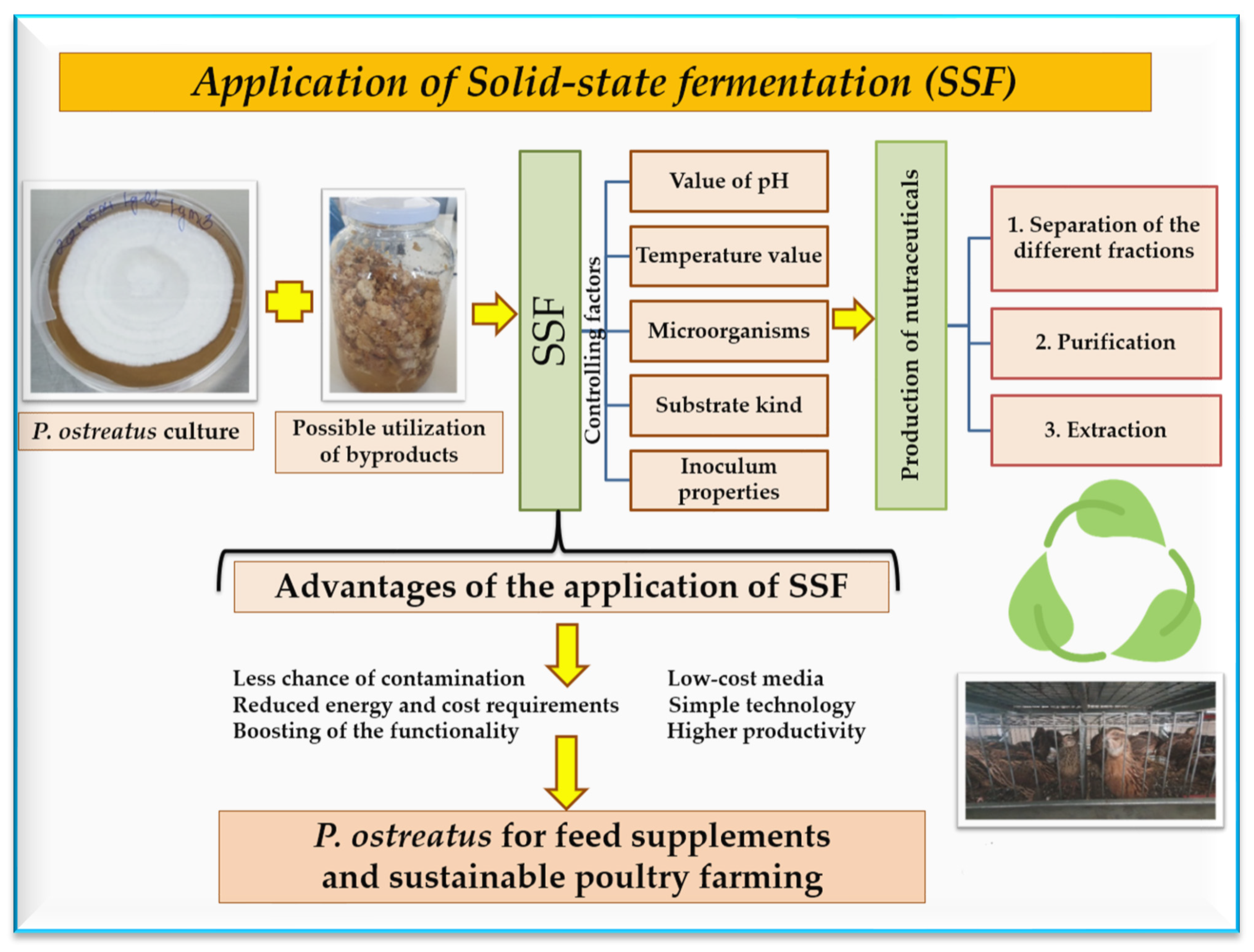 Agriculture 14 00663 g005