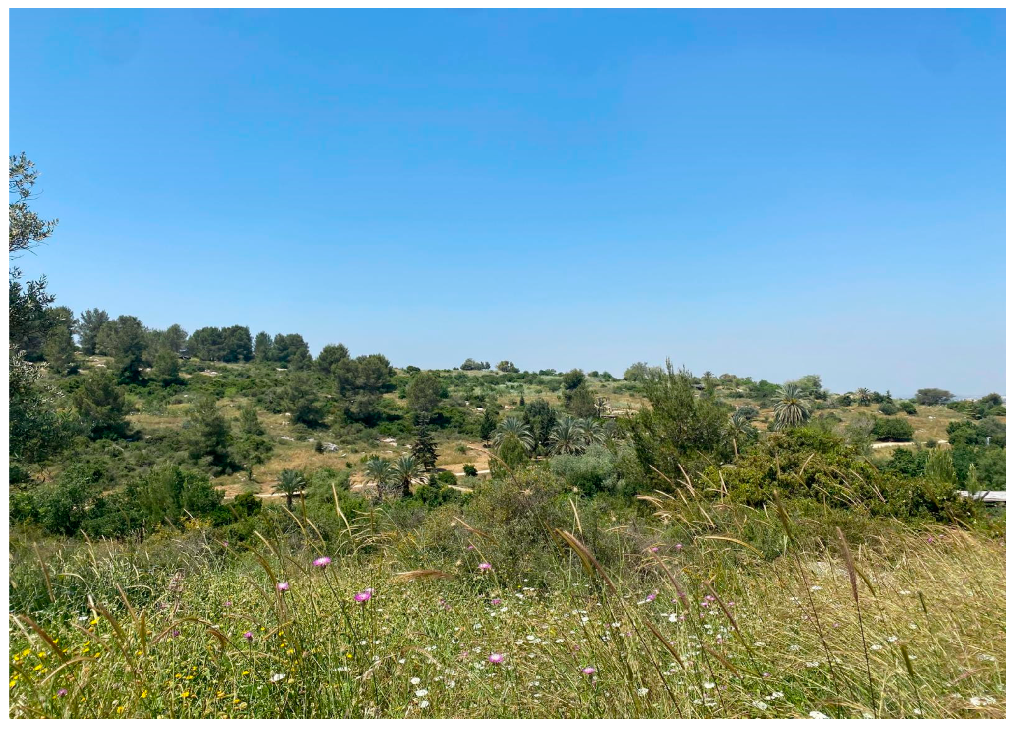 Agriculture 14 00664 g001 Agriculture 14 00664 g001