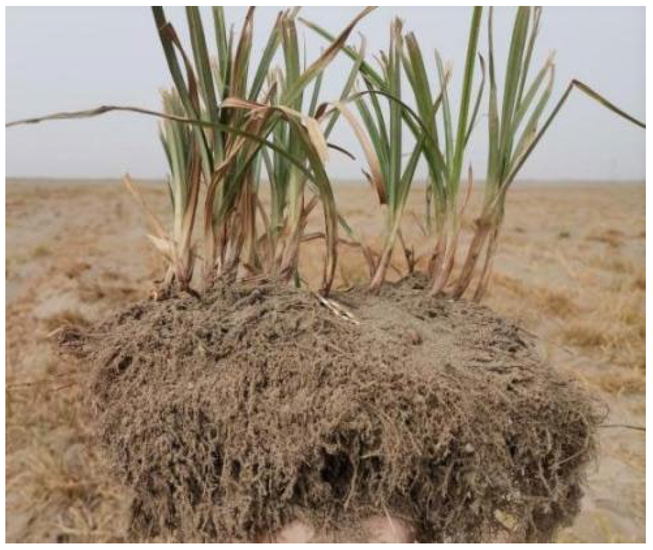 Agriculture 14 00682 g001