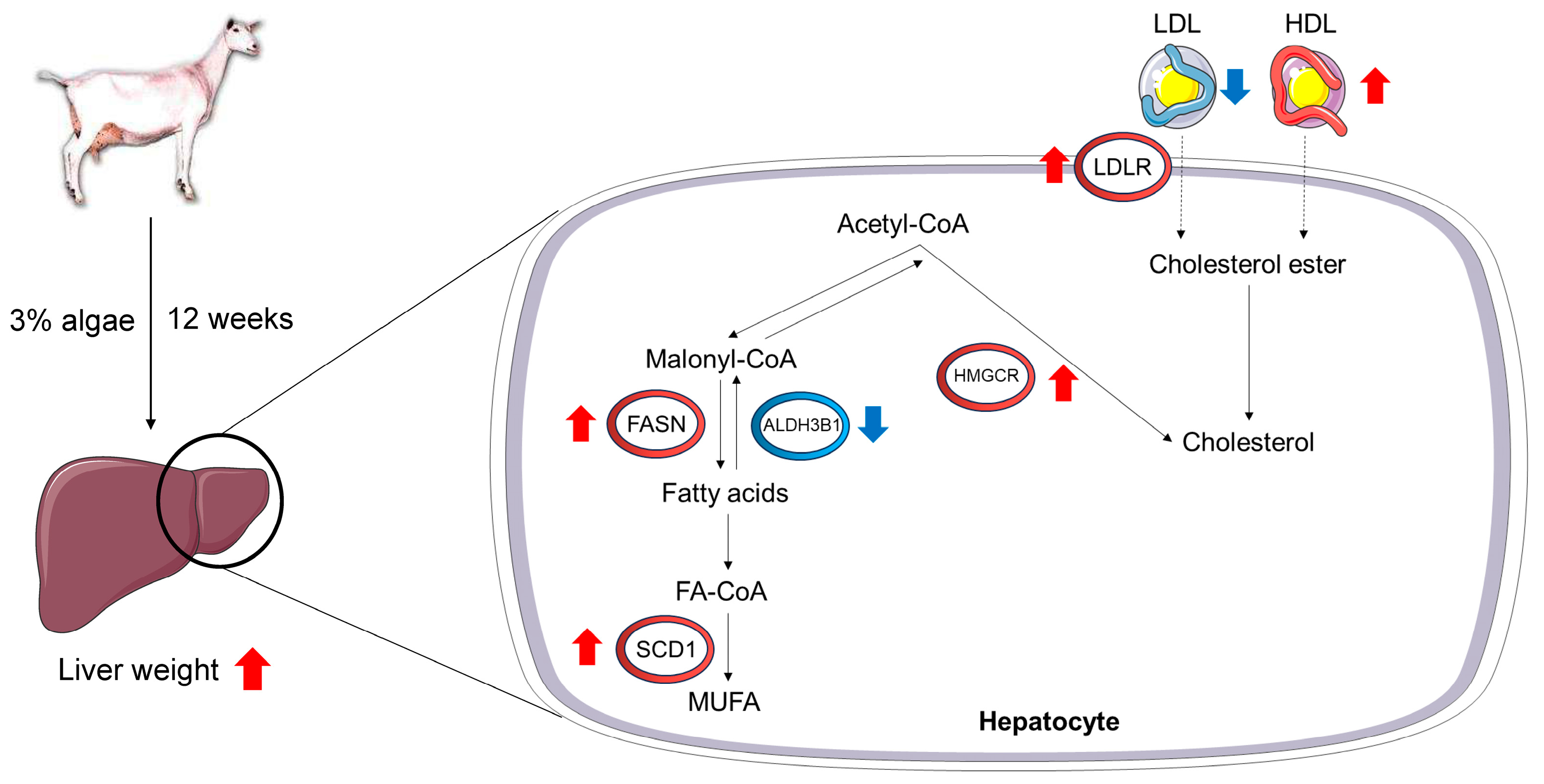 Agriculture 14 00685 g006