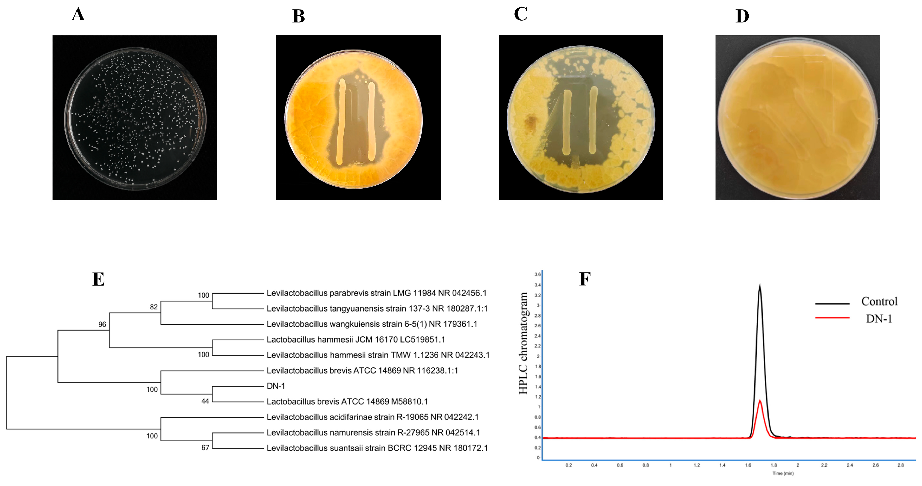 Agriculture 14 00698 g001
