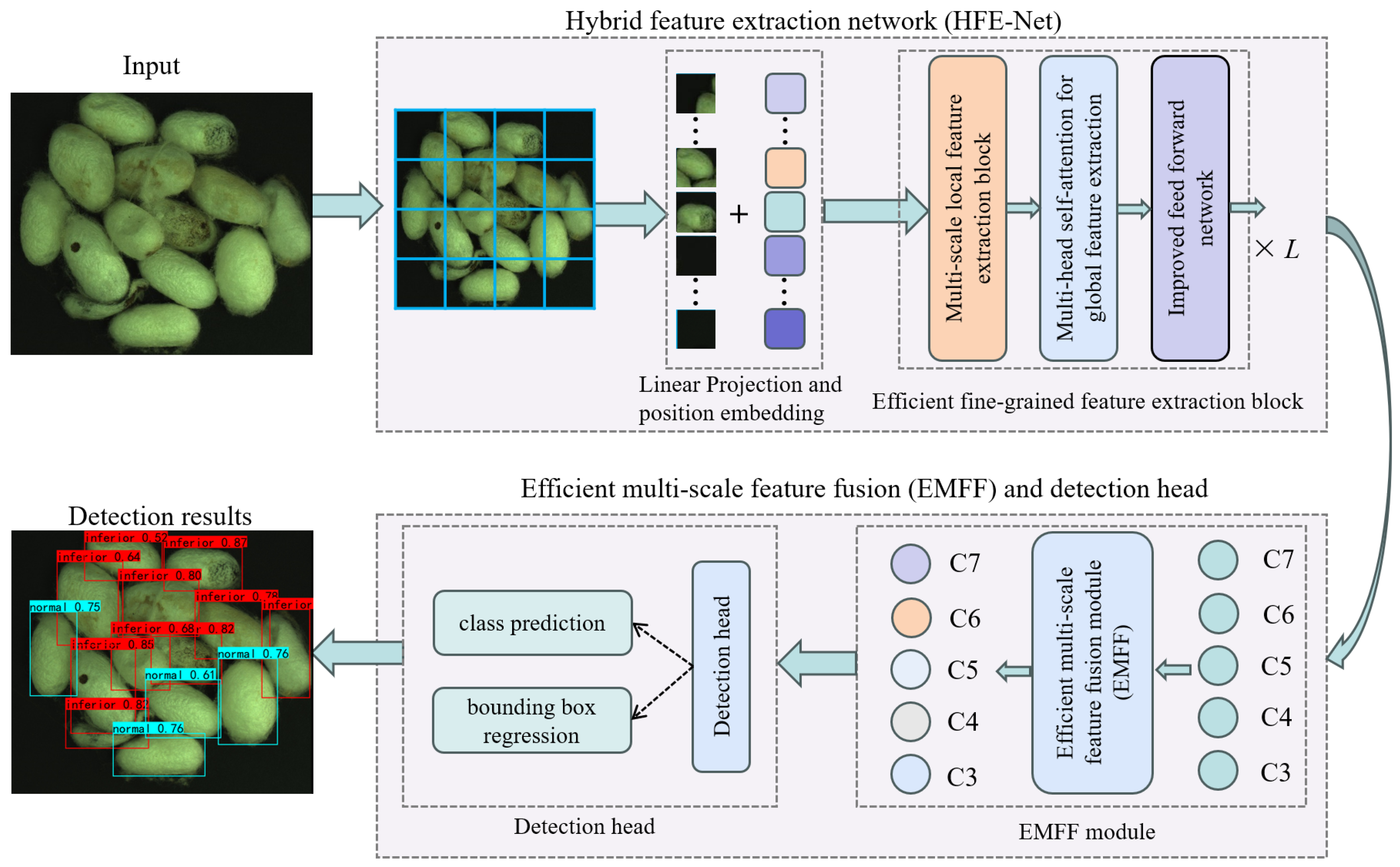 Agriculture 14 00700 g003