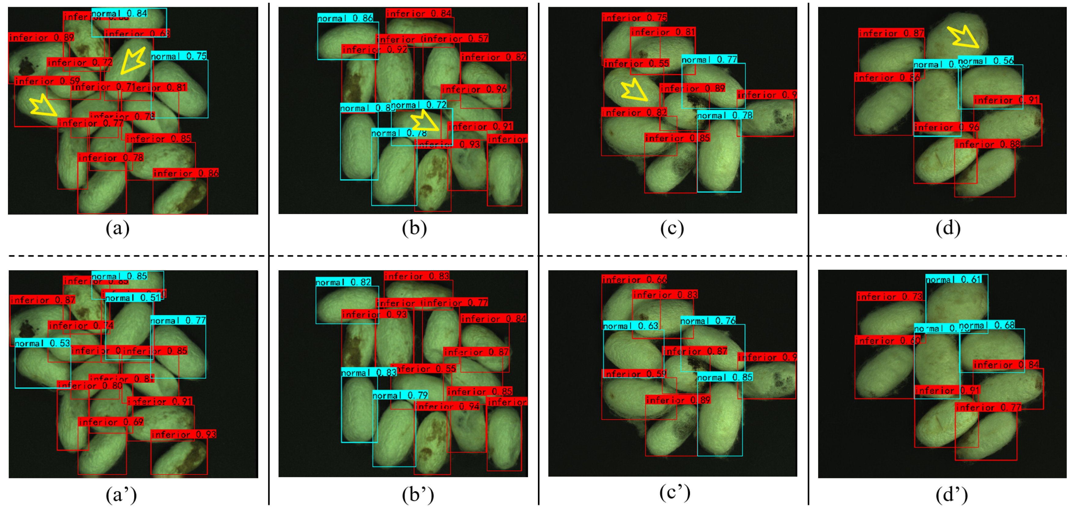Agriculture 14 00700 g010