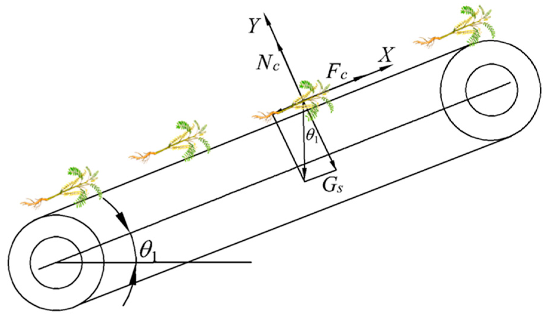 Agriculture 14 00701 g011