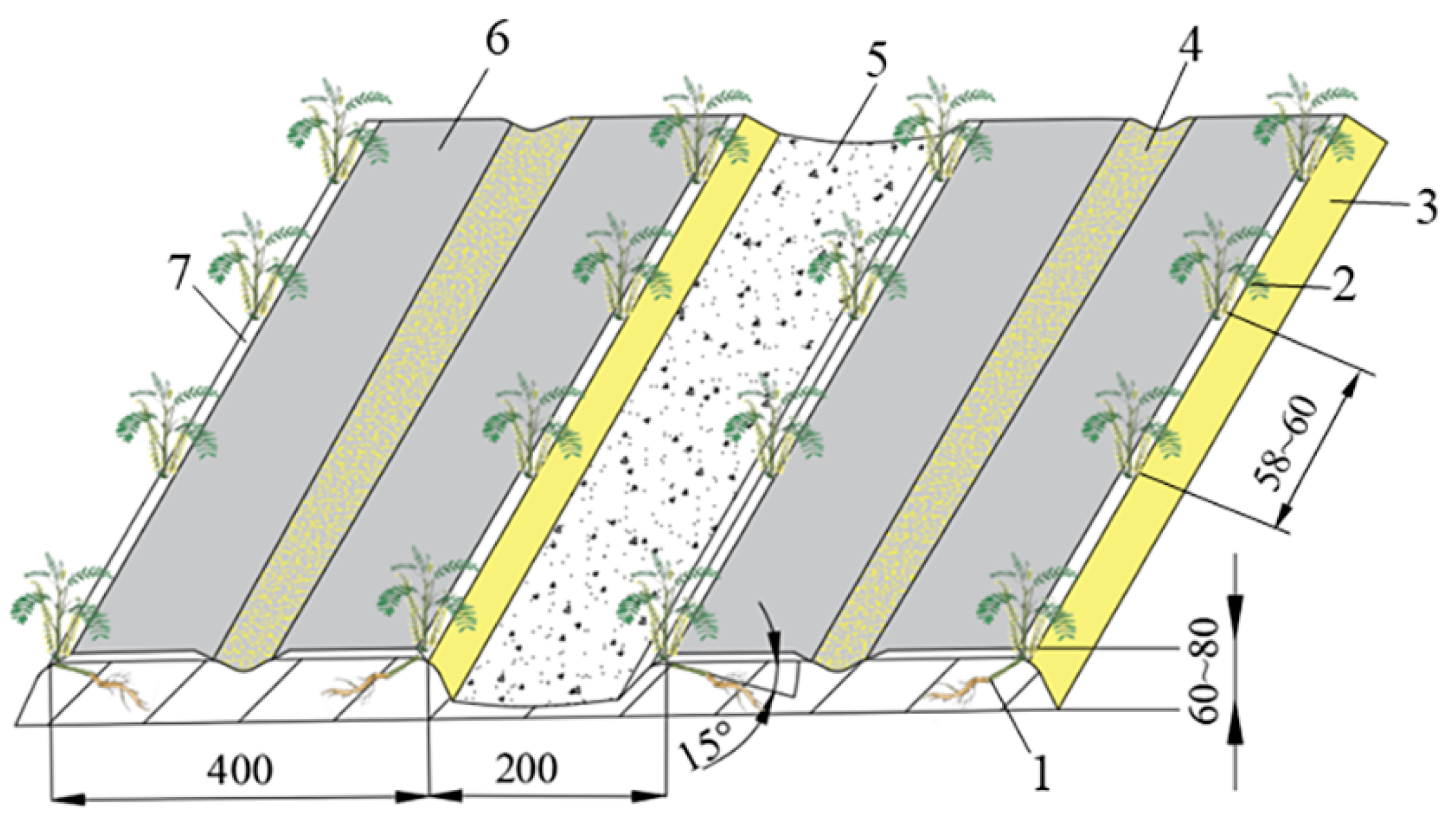 Agriculture 14 00701 g017