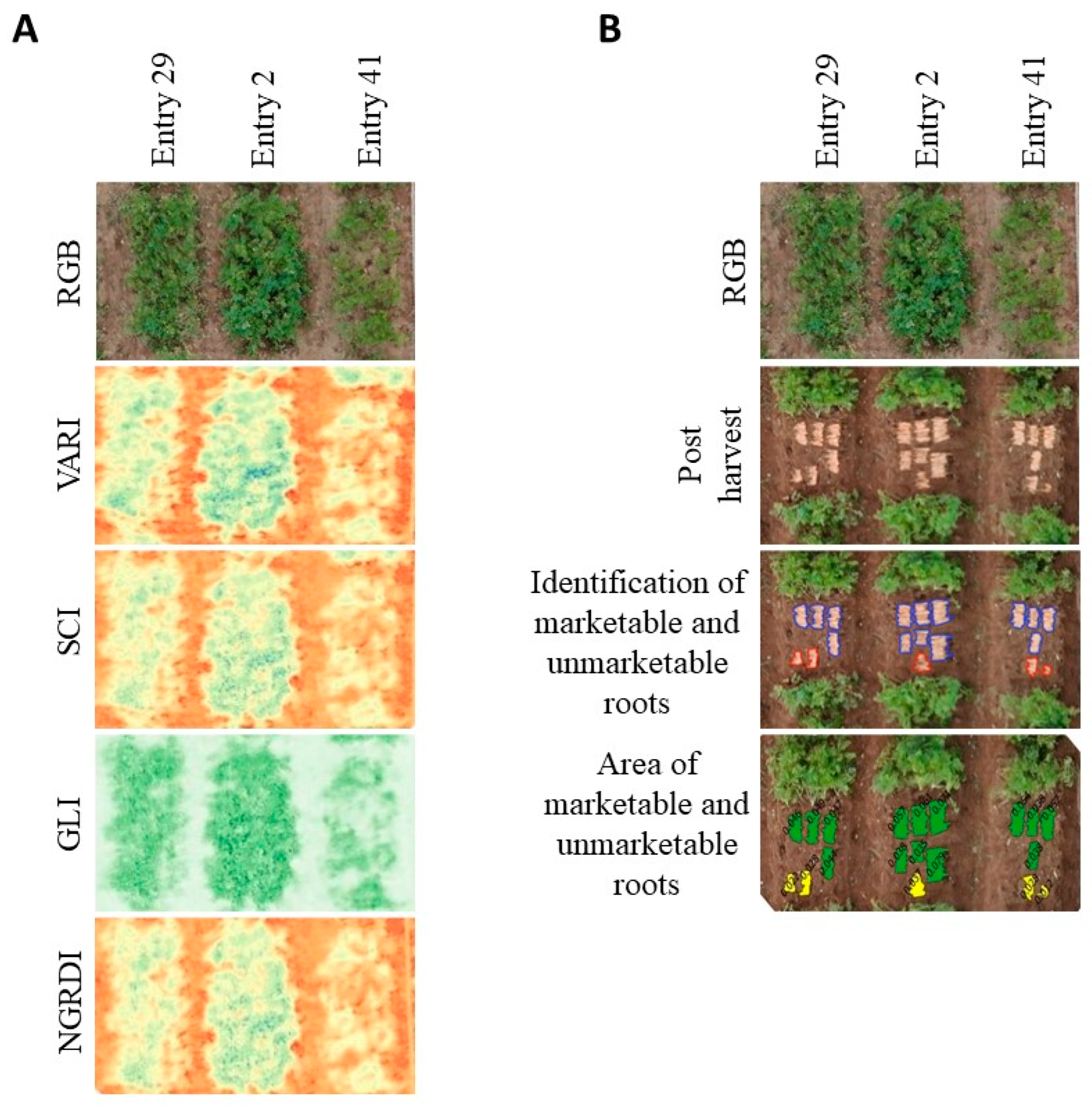 Agriculture 14 00710 g005 Agriculture 14 00710 g005