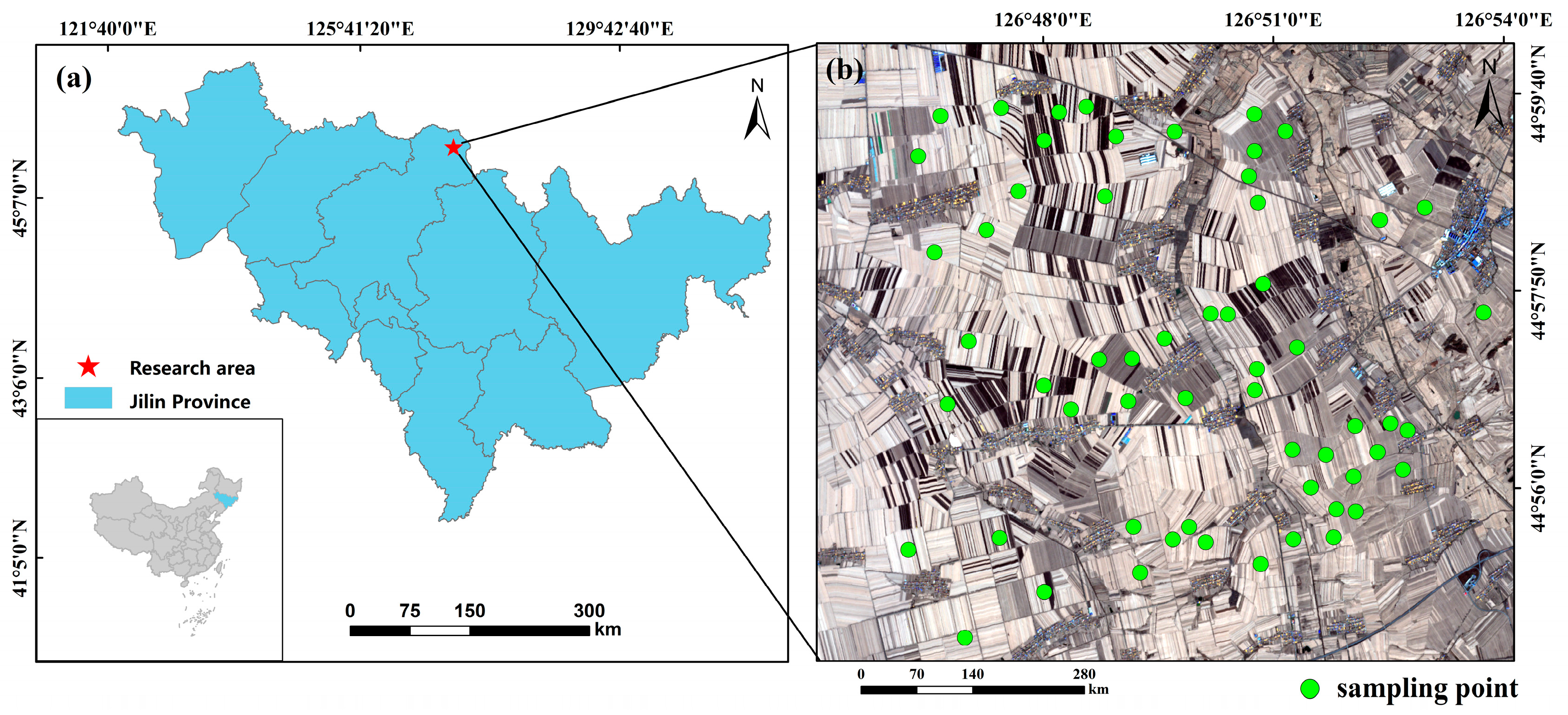 Agriculture 14 00711 g001