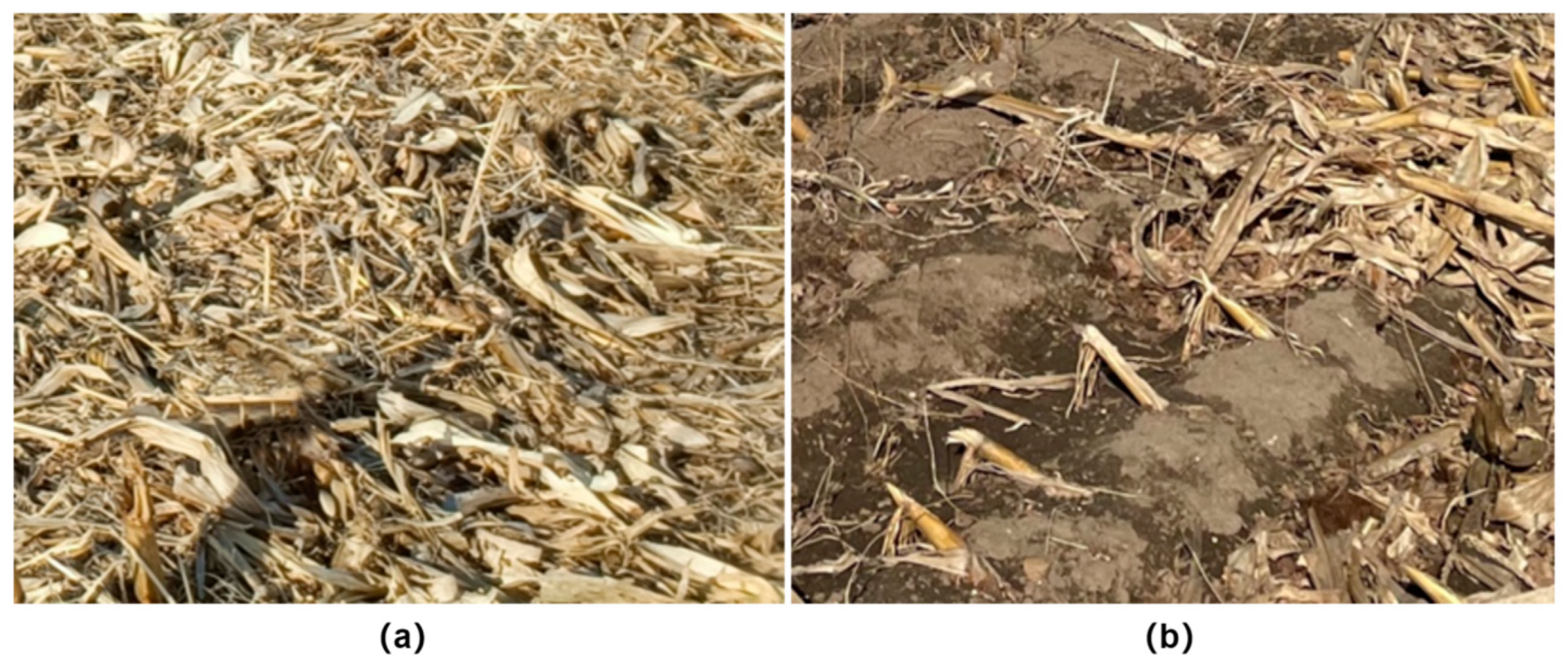 Agriculture 14 00711 g014