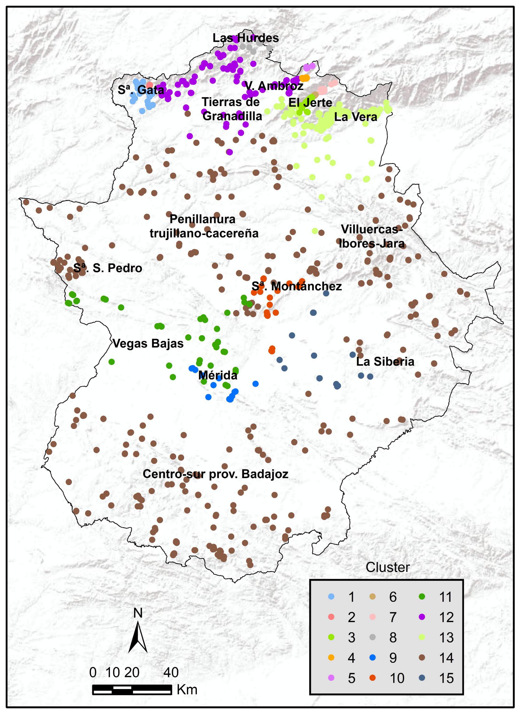 Agriculture 14 00716 g004