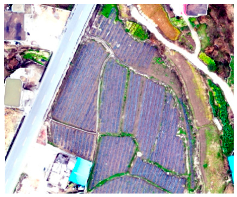 Agriculture 14 00736 i001