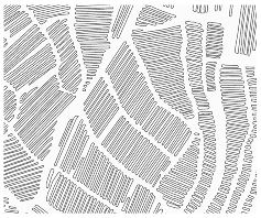 Agriculture 14 00736 i004