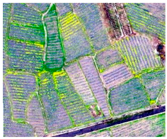 Agriculture 14 00736 i007